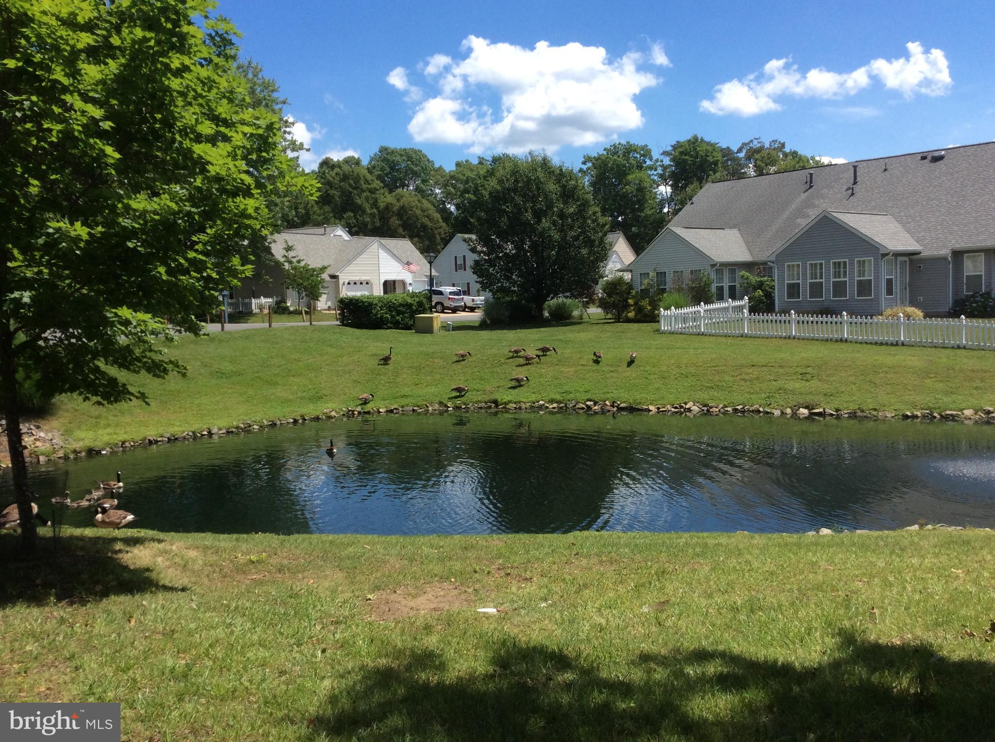 SUMMERLAKE - Residential