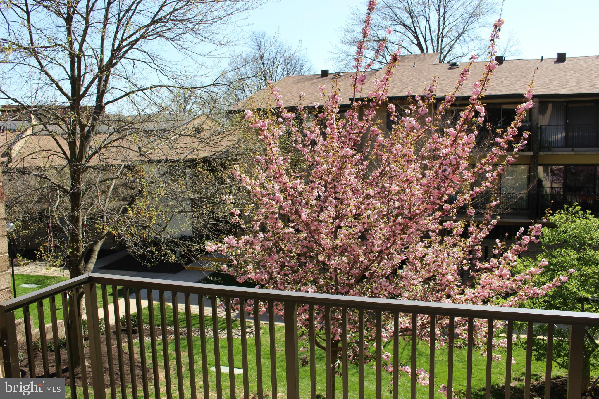 AMERICANA CENTRE - Residential