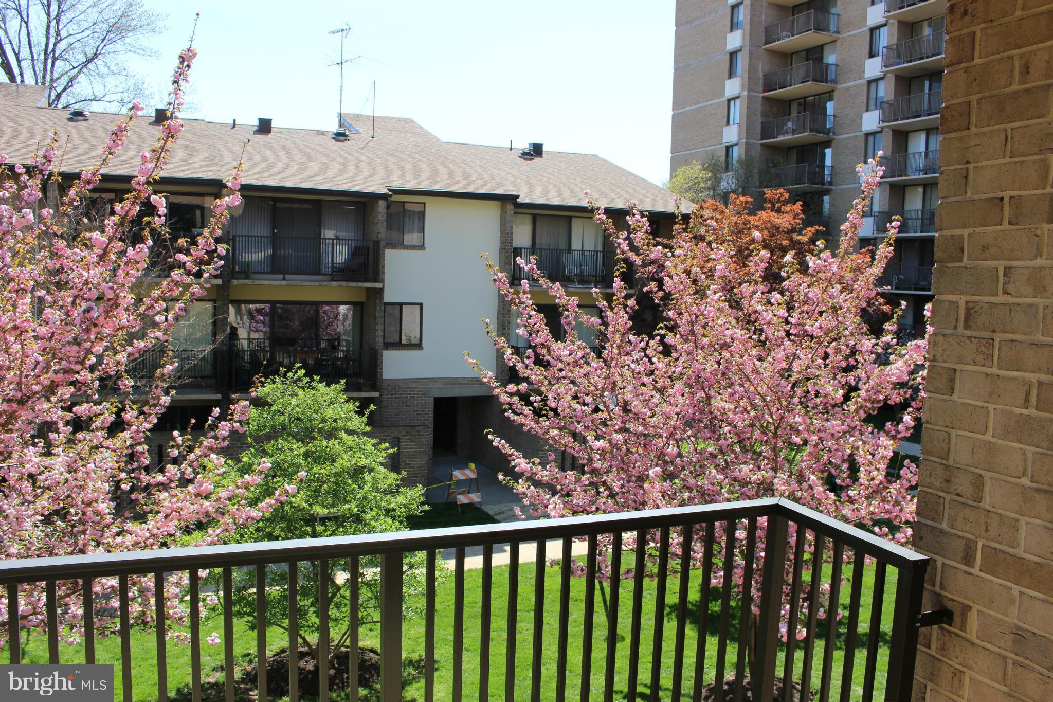 AMERICANA CENTRE - Residential