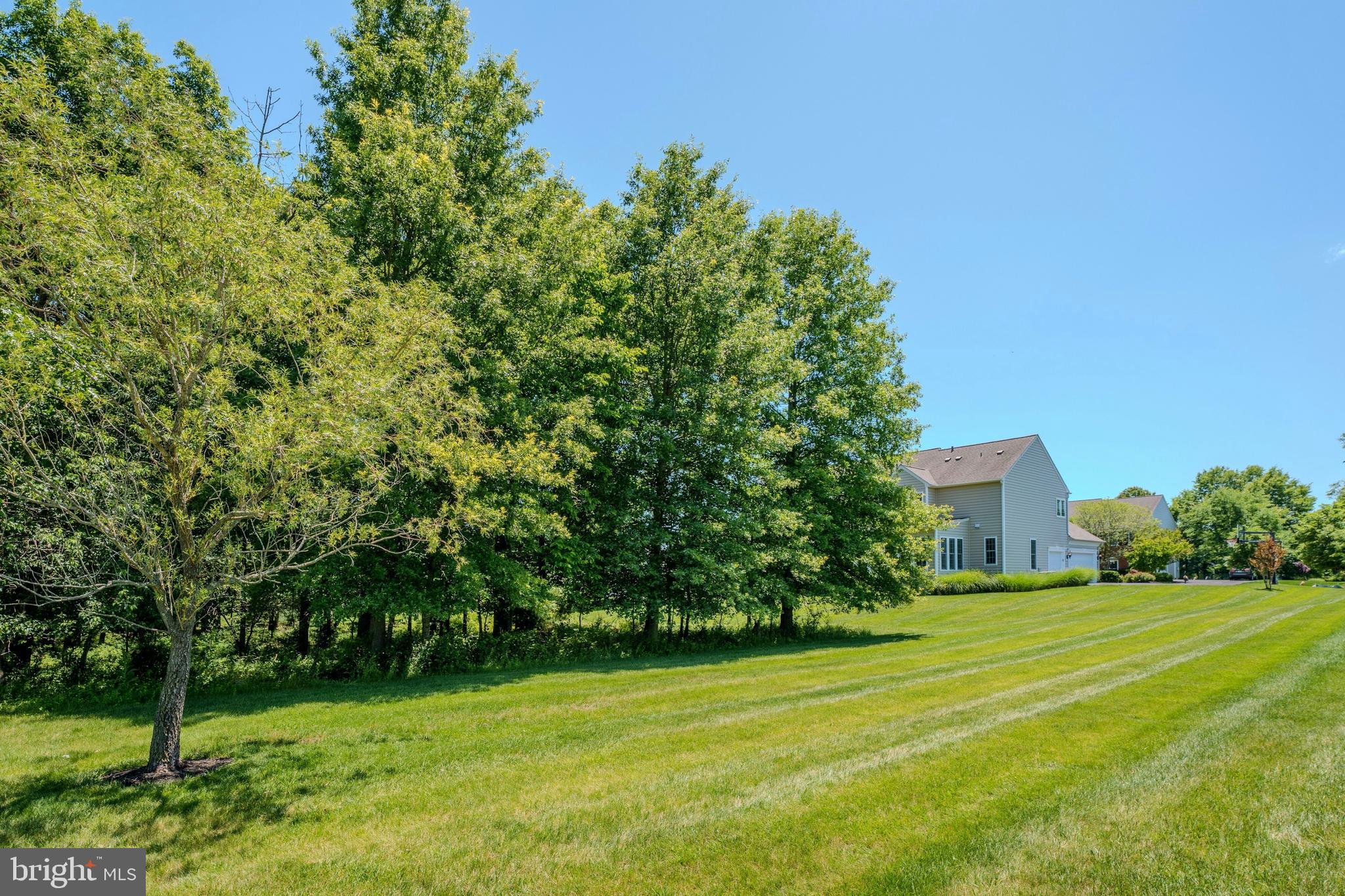 RED CEDAR - Residential