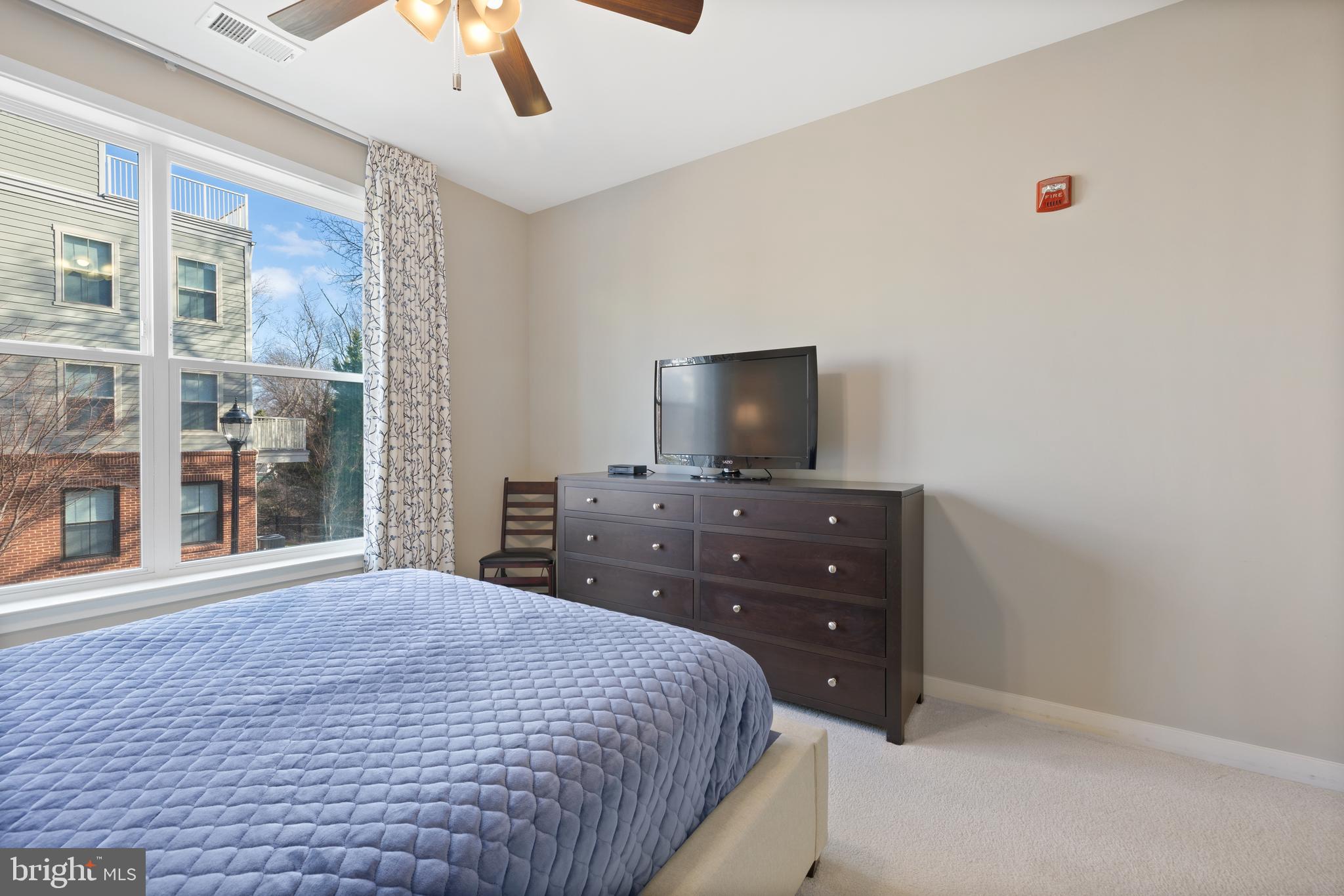 MOUNT VINEYARD - Residential