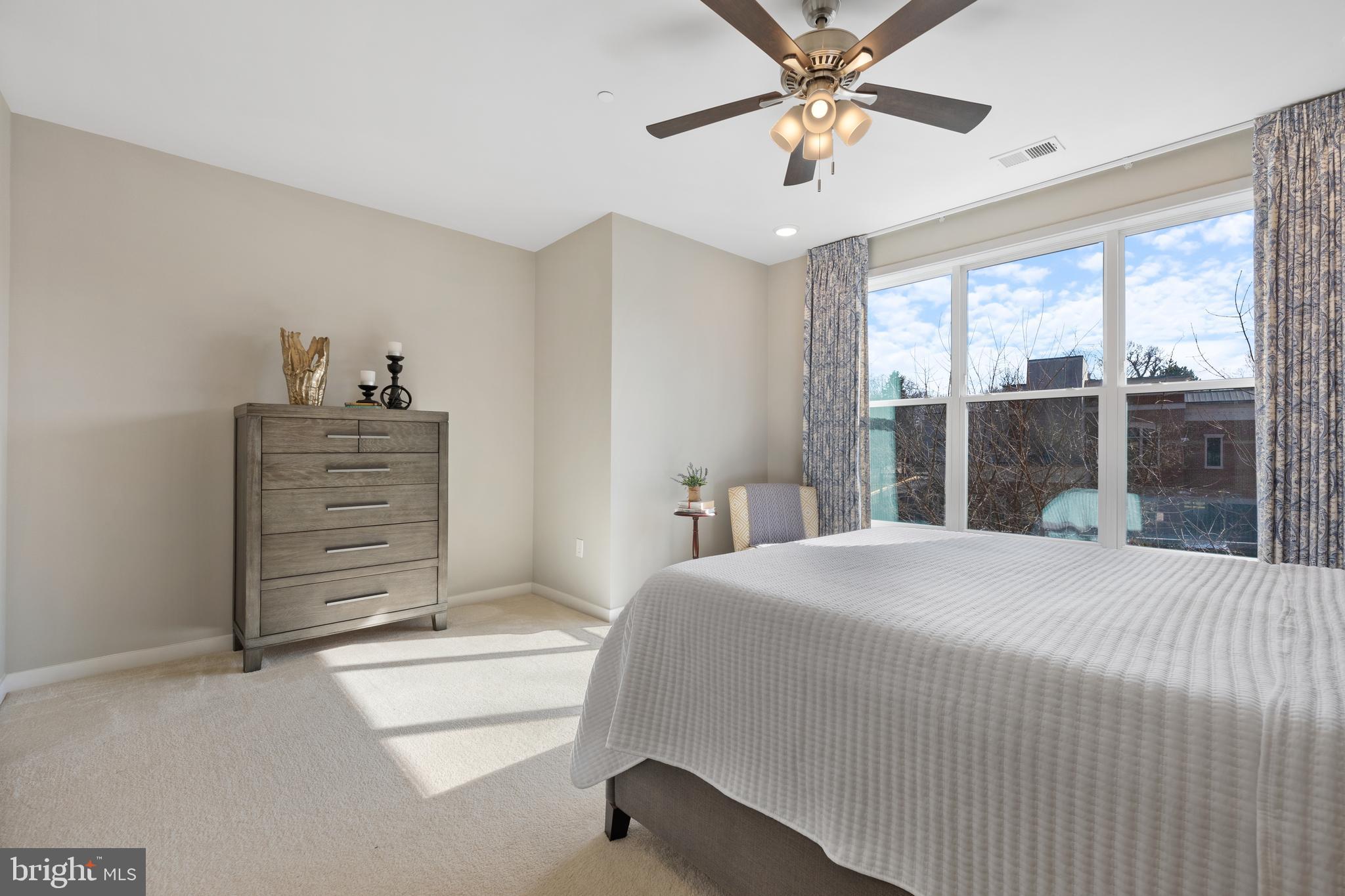 MOUNT VINEYARD - Residential