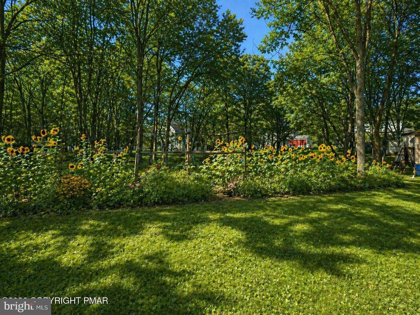 PINE RIDGE - Residential
