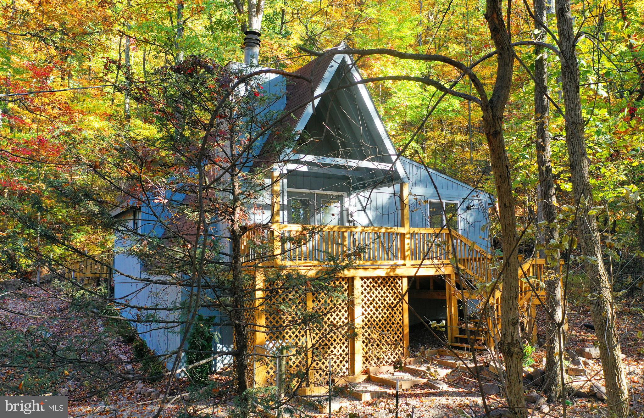 RUSTIC ELEGANCE! BEAUTIFULLY APPOINTED A-FRAME ON A PRIVATE WOODED LOT.  MOUNTAIN VIEWS AND WATER ACCESS. Perfect as a weekend getaway,  a full-time residence or even an airbnb.  Enjoy morning coffee on the front and back decks in the summer and cozy evenings before the fireplace when the air turns cold. On a 1.19-acre lot in enchanting Glenwood Forest,  a mountain community that's a short drive to I-81, Inwood,  Martinsburg and Winchester. It offers private access to Back Creek plus a fenced picnic area and basketball court. This home is freshly painted and newly renovated throughout with luxury plank vinyl, tile floors and recessed lights. Newly stained decks.  Dramatic great room with a wood-burning fireplace and a soaring cathedral ceiling with a ceiling fan. Three bedrooms - two on the main level with vaulted ceilings and one as a laddered loft overlooking the great room. Elegantly remodeled kitchen with new stainless steel appliances, new cabinets and granite countertops, deep stainless steel sink and new faucet. Family room off the kitchen.  Renovated full bathroom with a new plumbing and new tub/shower, sink and toilet. Glassed double doors at the front and back let in plenty of light but also have built-in blinds for privacy. Laundry hookups for washer and dryer.  Large storage area under the front deck. Septic was pumped July 2024 and there was a clear termite/wood-destroying insect report in July 2024.