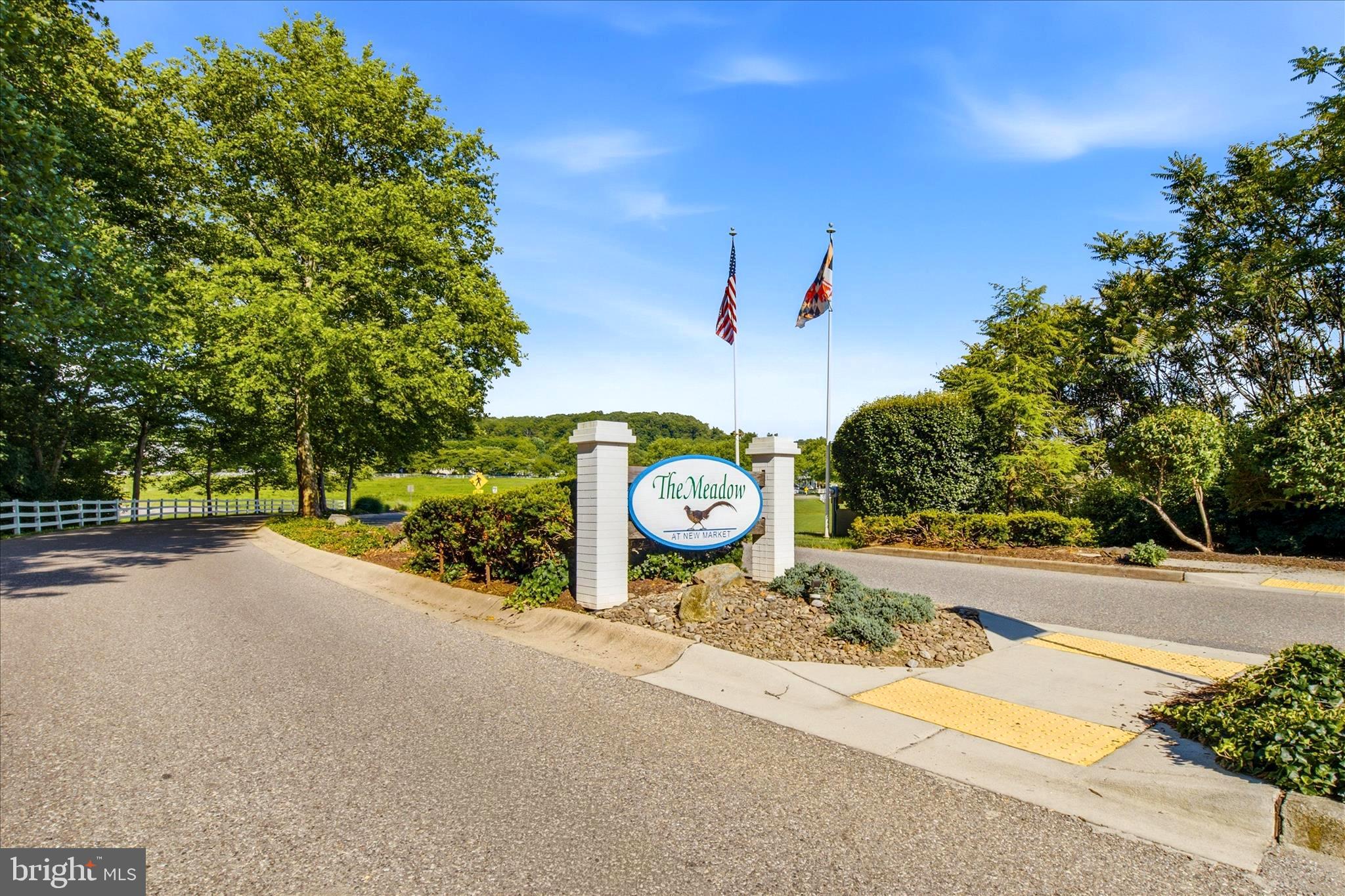 THE MEADOW AT NEW MARKET - Residential