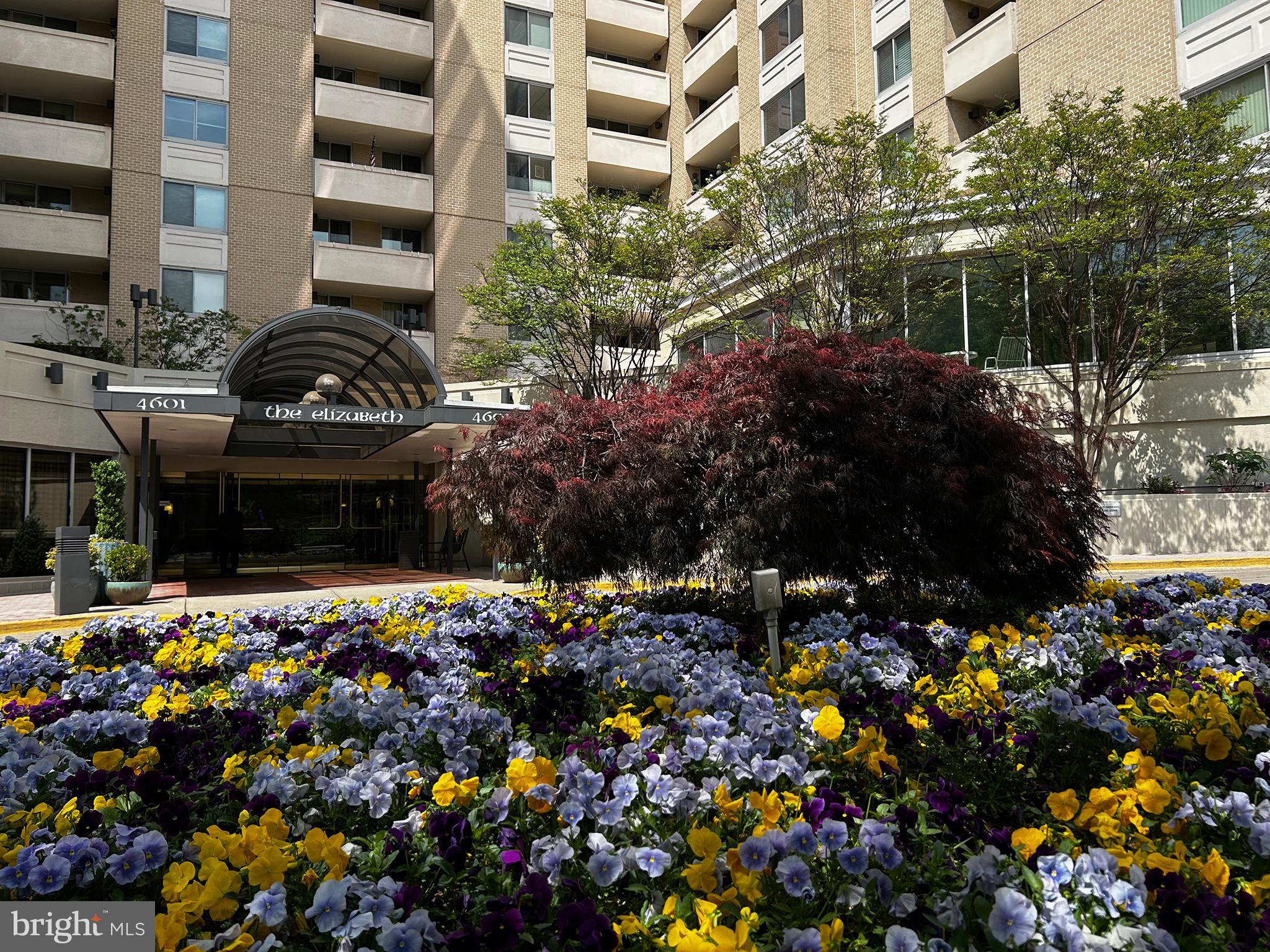 Price Reduction! Breathtaking Treetop Views Throughout the Year - For Sale.  Welcome to 607, this luxury 2-bedroom, 2.5-bathroom condominium residence in the Elizabeth is offered for the first time since 1984. An oasis in urban living. Sliding glass doors open to large private balcony, a city gardeners paradise – step outside to enjoy your morning coffee and relax while you dine overlooking gorgeous sunsets. This corner unit with oversized windows facing north and west brings abundant natural light to this much sought after 07 tier property. Large open living areas, newly painted throughout. Two brand new HVAC fan-coil units. Original hardwood parquet flooring in beautiful condition. Abundant closet space updated electric and light switch receptacles, newly grouted shower tile, table space kitchen with new refrigerator is ready for your ideas. One assigned garage parking space is included (352). Your monthly condominium fee includes utilities.
Full-service amenities include 24-hour front desk concierge, secured entry, beautifully designed common areas, a library, baby grand piano, 24-hour fully equipped fitness center, and a year-round indoor salt-water heated pool. Enclosed glass doors open pool to the patio during summer months. Additional features include guest parking, EV charging stations, a bicycle room and extra storage. The many outdoor patios and courtyards are perfect for relaxing, reading a book, soaking in the sunshine, or enjoying lunch with a friend or neighbor. Indoor common areas include a small business center, private workspaces, comfortable seating for intimate conversations, and a party room for larger celebrations. The common areas and hallways were recently renovated. Additional upgrades include new boilers and elevators. Fiscally responsible, the Elizabeth has excellent on-site management and a substantial reserve fund.
In the heart of urban living, destinations are within walking-distance. A market, salon, daycare center, professional and medical offices are in the Arcade. Walk or take the community bus that picks you up at the Elizabeth.  The Friendship Heights Metro Station red-line is located blocks away for an easy commute. Whole Foods, Trader Joes, Starbucks, luxury shopping, Lia’s, Mei Wah and many local restaurants are moments away. Outdoor parks - playgrounds and dog parks are spaced throughout the neighborhood. The Friendship Heights Village Center, located one block from the Elizabeth, hosts exhibits, lectures, a weekend farmers market, classes, trips, and a quiet reading room. Step outside, relax by the fountain, enjoy the seasonal gardens from surrounding park benches. Community living at its best. Designated parking space taxed separately.