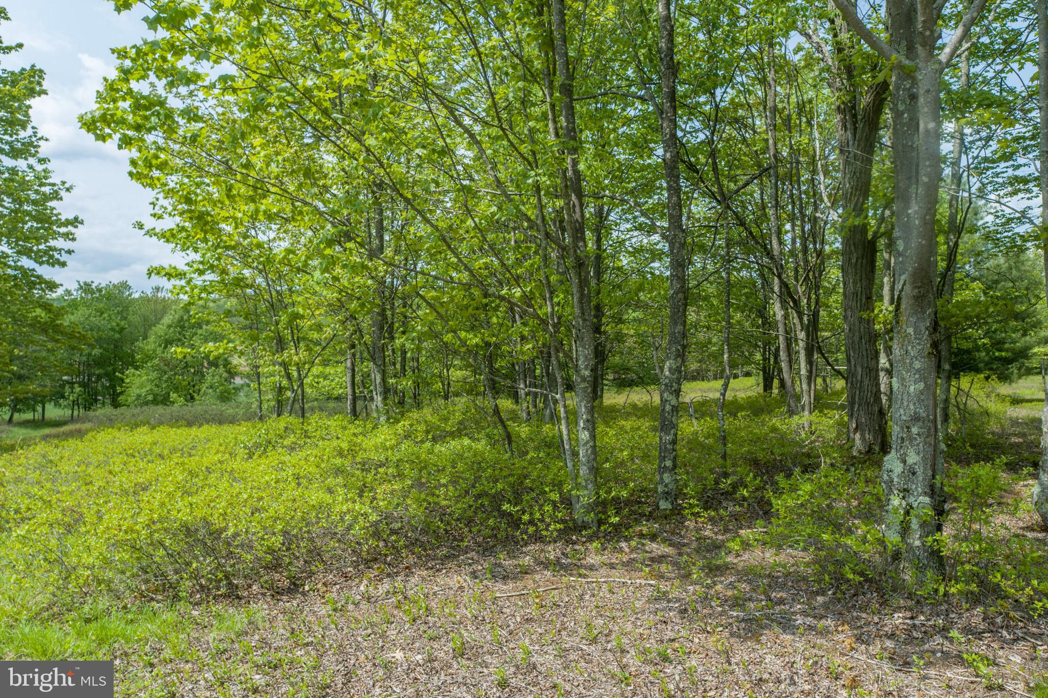 DEER CREST - Land