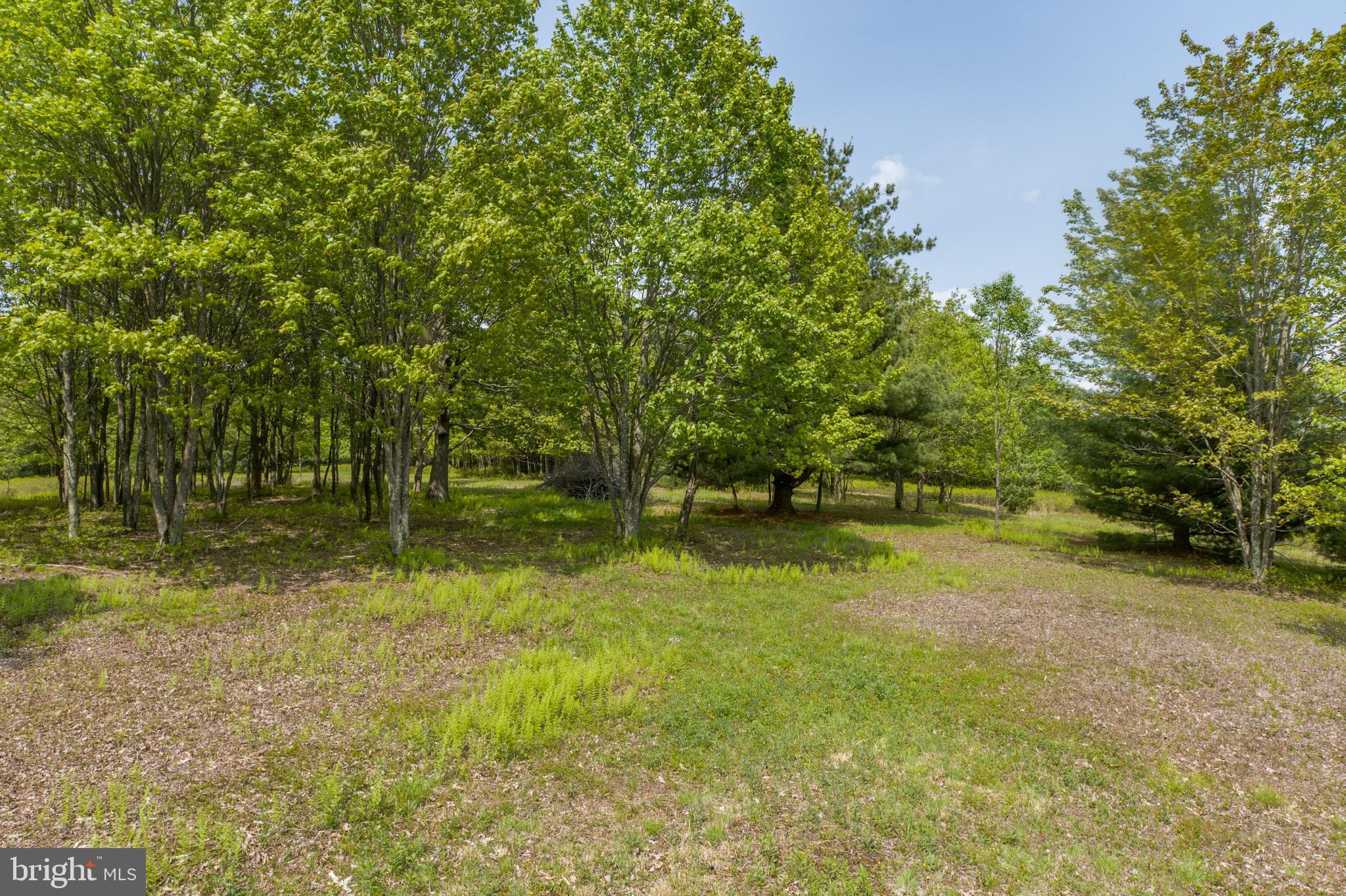 DEER CREST - Land
