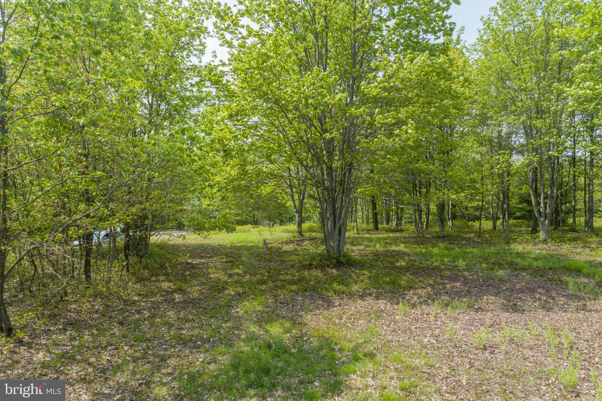 DEER CREST - Land