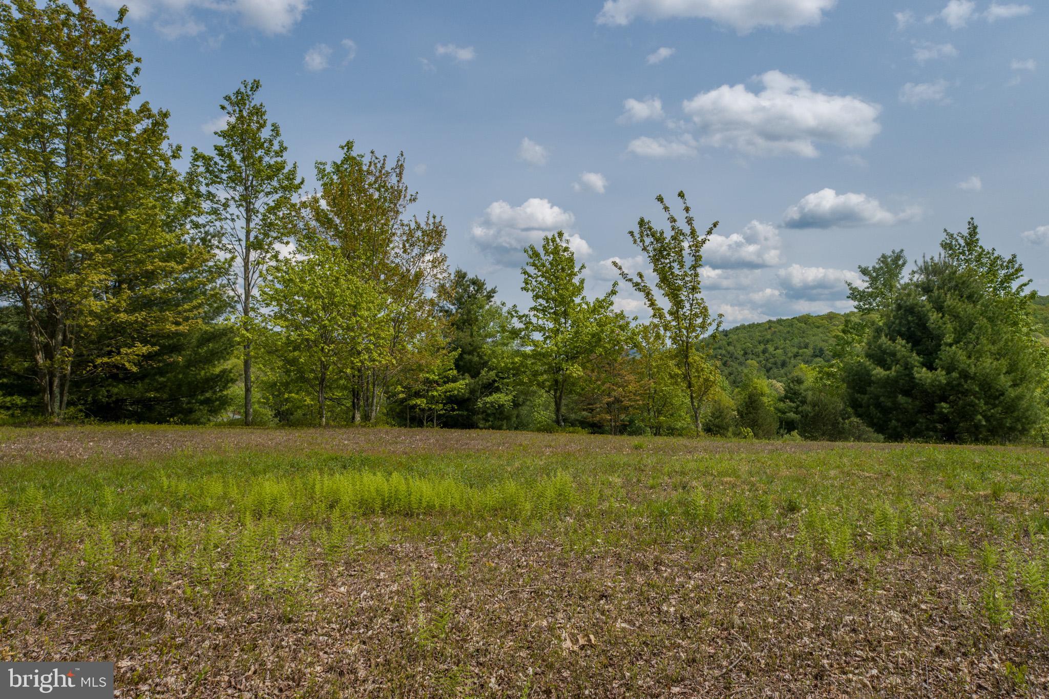 DEER CREST - Land