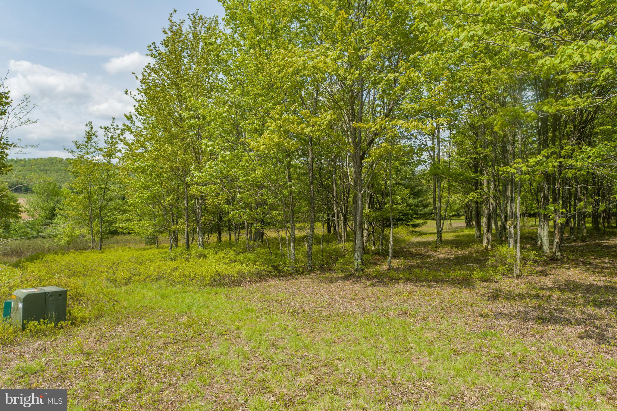 DEER CREST - Land