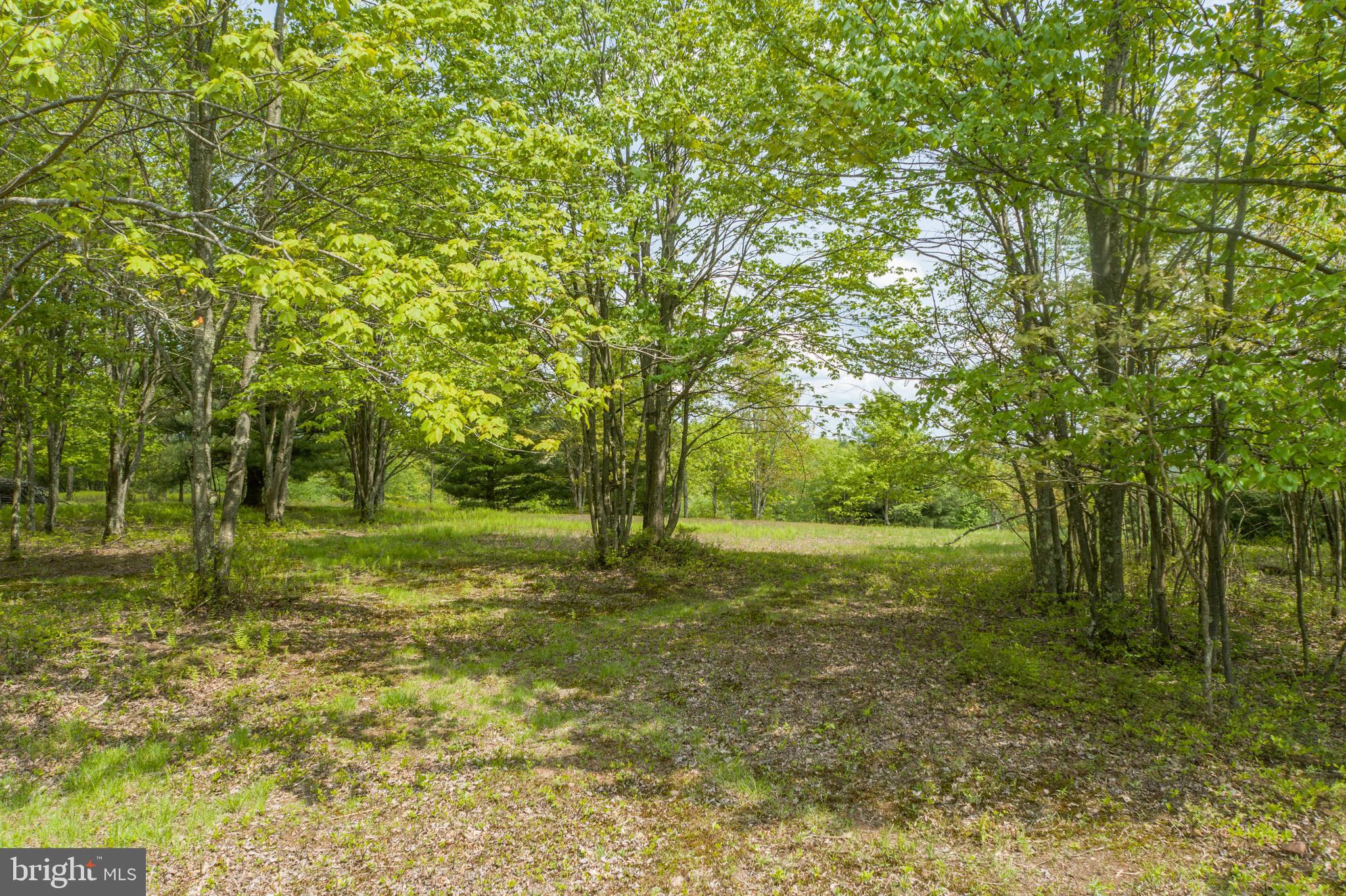 DEER CREST - Land