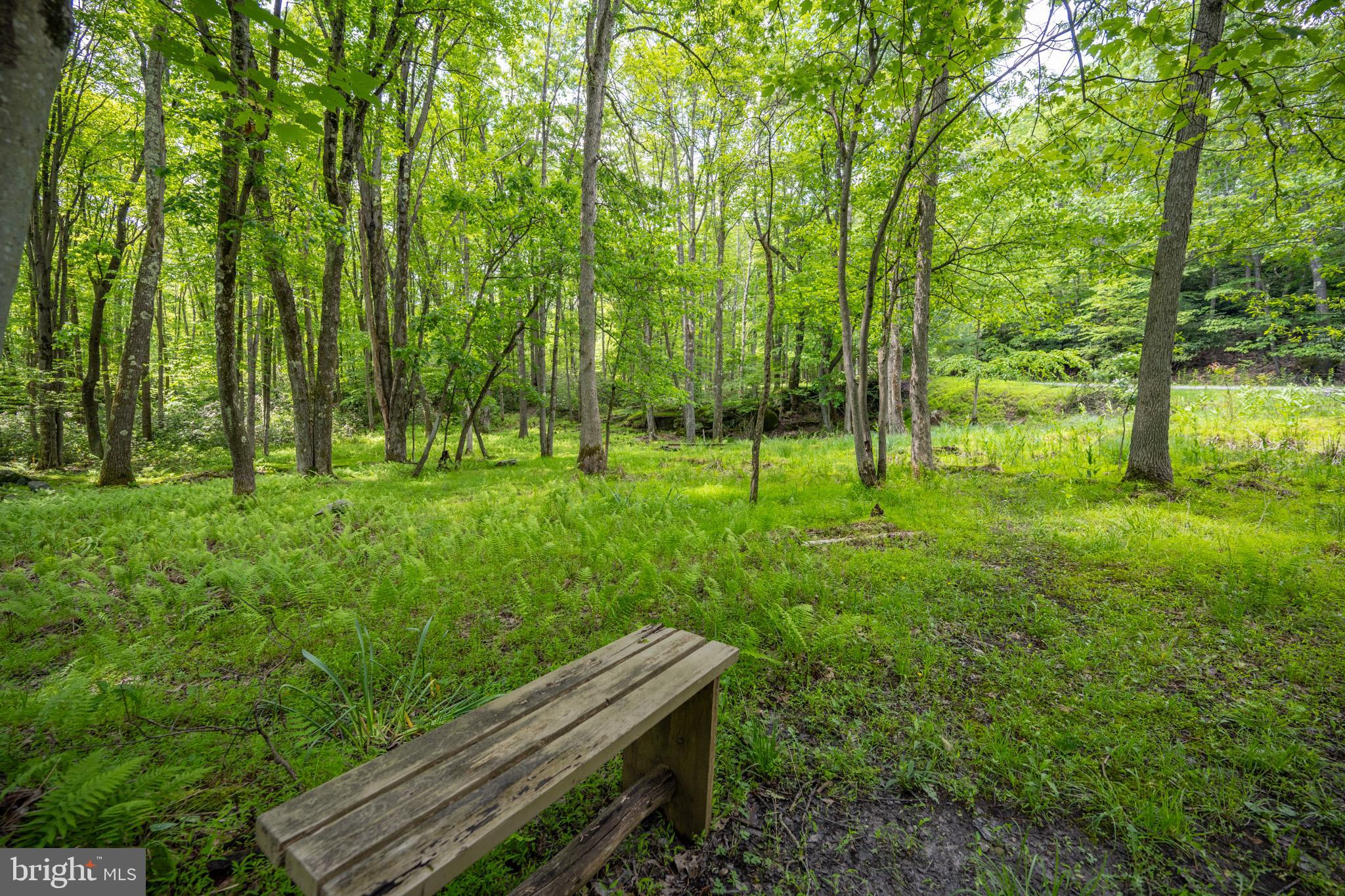 YOUGHIOUGHENY MOUNTAIN - Residential
