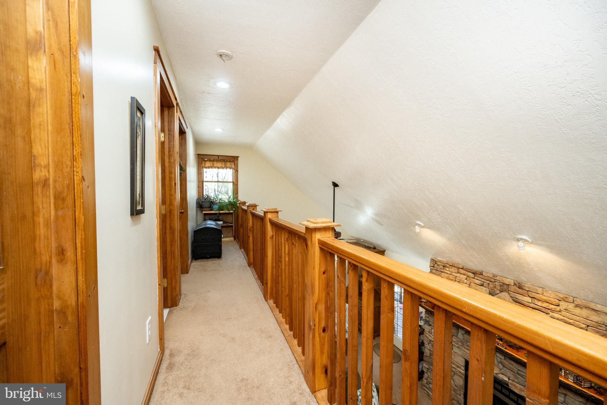 YOUGHIOUGHENY MOUNTAIN - Residential