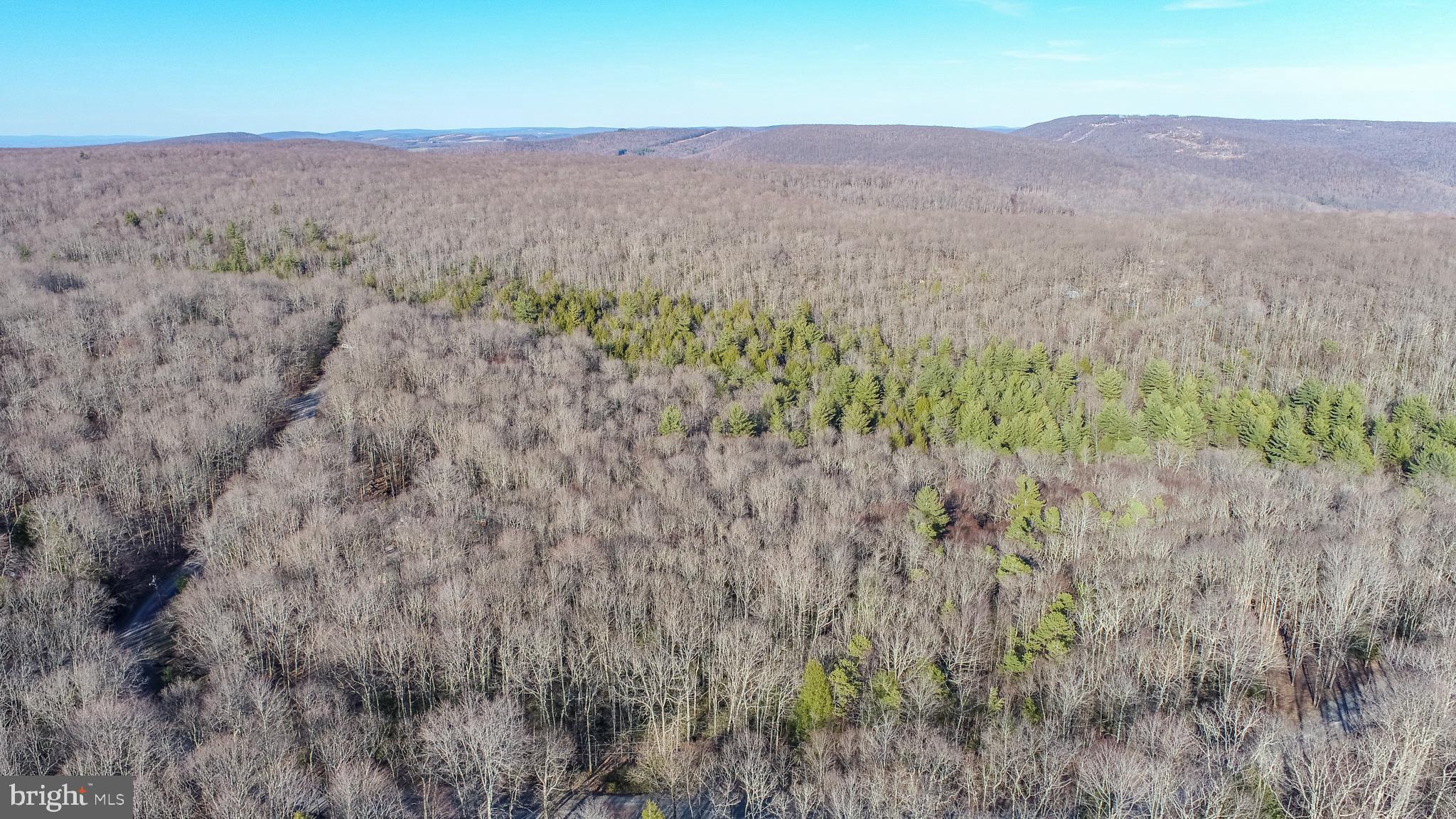 YOUGHIOUGHENY MOUNTAIN - Residential
