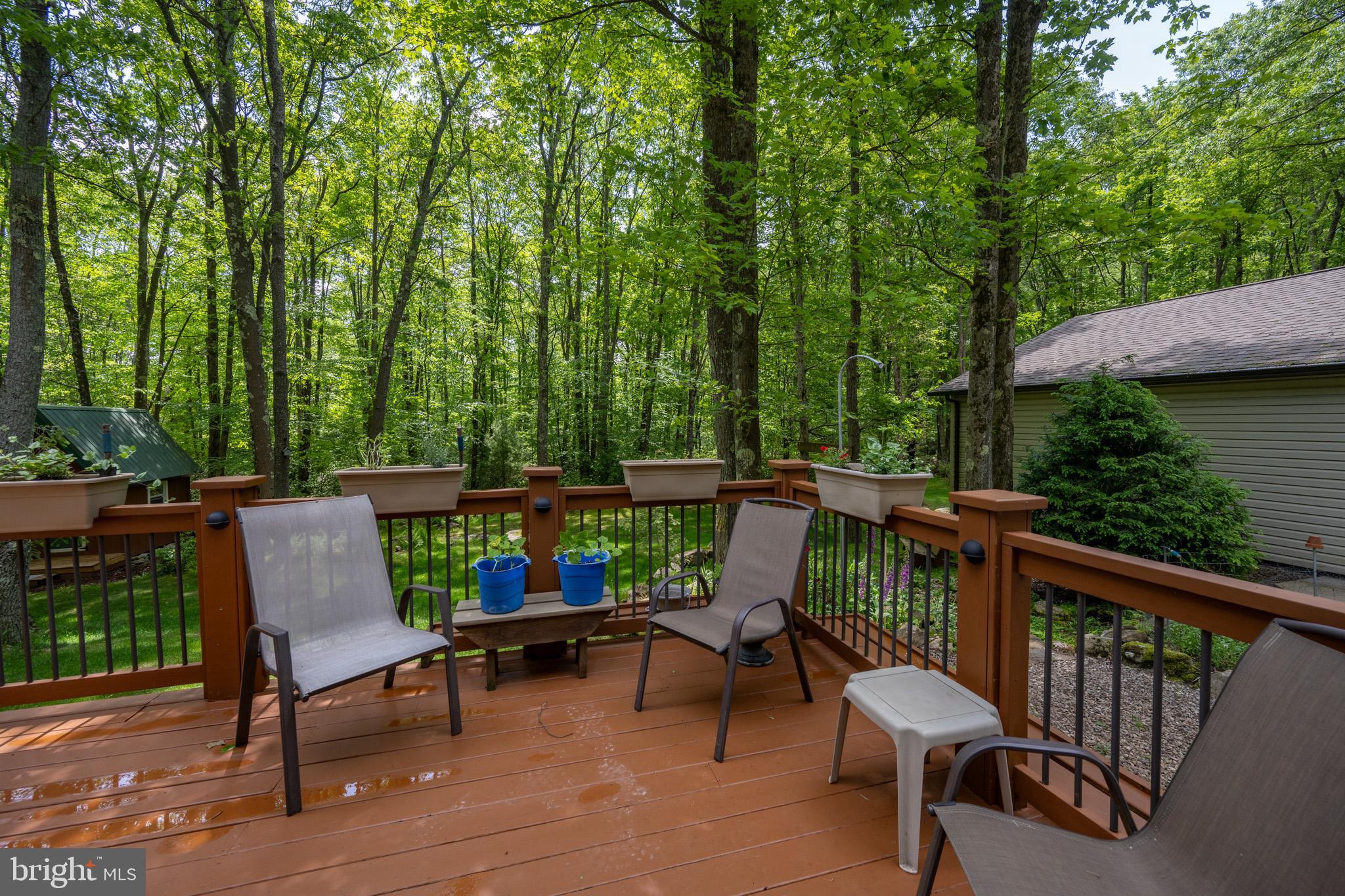 YOUGHIOUGHENY MOUNTAIN - Residential