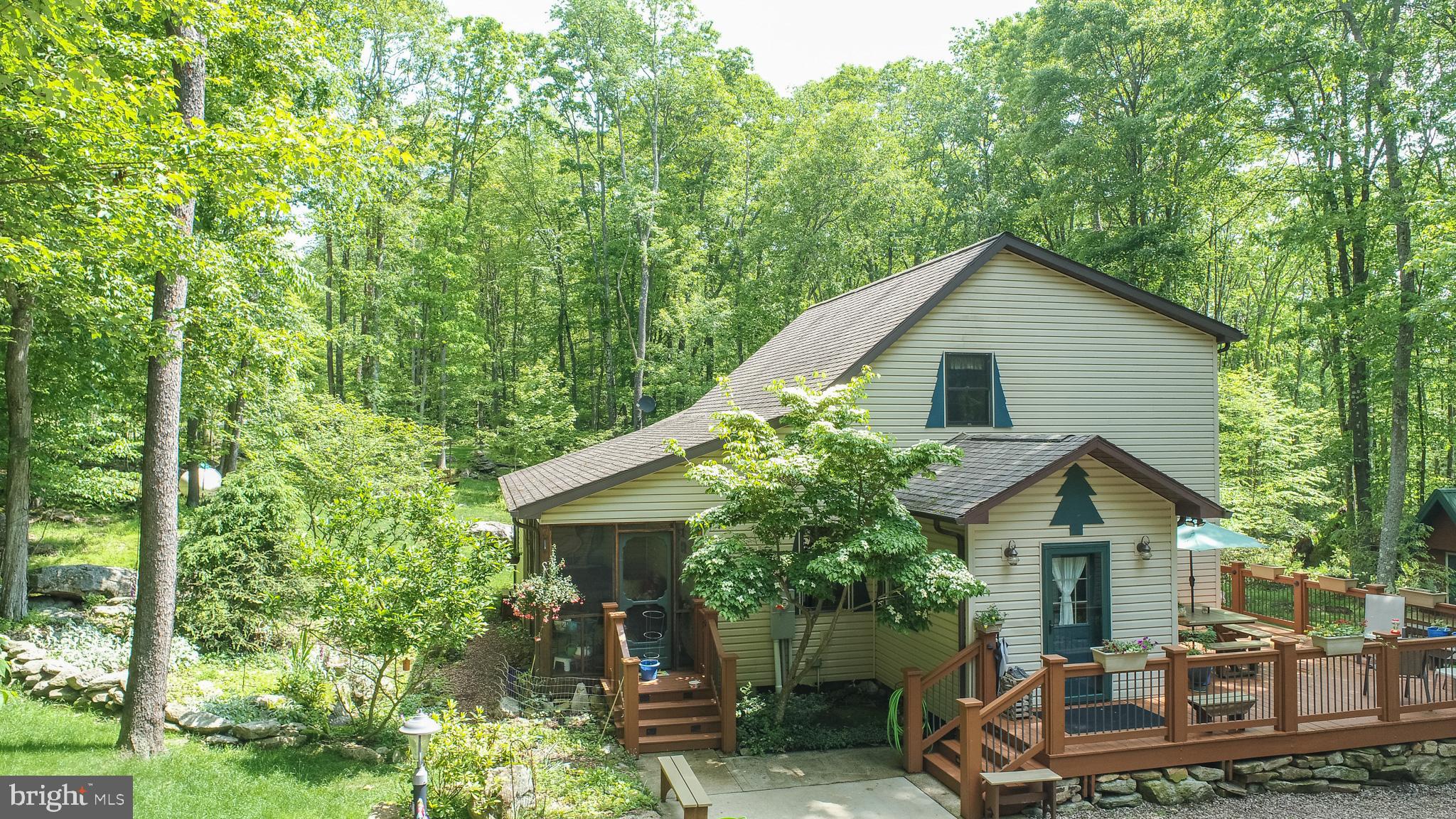 YOUGHIOUGHENY MOUNTAIN - Residential
