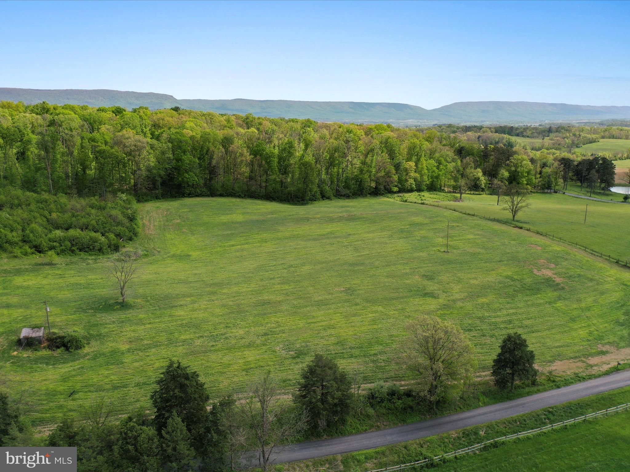Discover 10 private, unrestricted acres in scenic Mount Jackson—an ideal setting for your dream home or mountain retreat. With no HOA and no restrictions, you have the freedom to build, farm, or simply enjoy the peaceful setting your way. Property has a 4-bedroom alternative septic system perc approval on file, offering a head start for future residential development. Take in the stunning mountain views and enjoy the flexibility of SINGLE FAMILY SUBURB zoning, which opens the door to a variety of residential uses. A rare opportunity for privacy and potential in the heart of Shenandoah County!