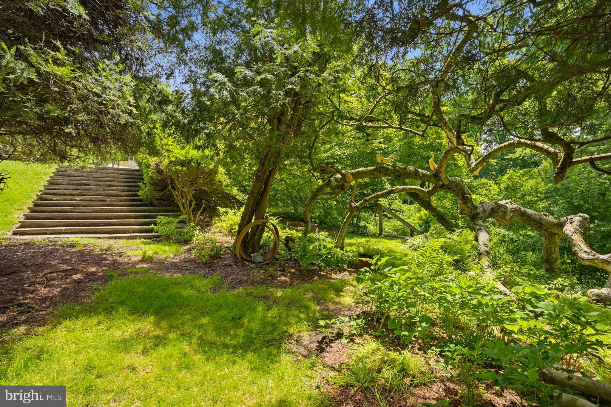 ROLAND PARK - Residential