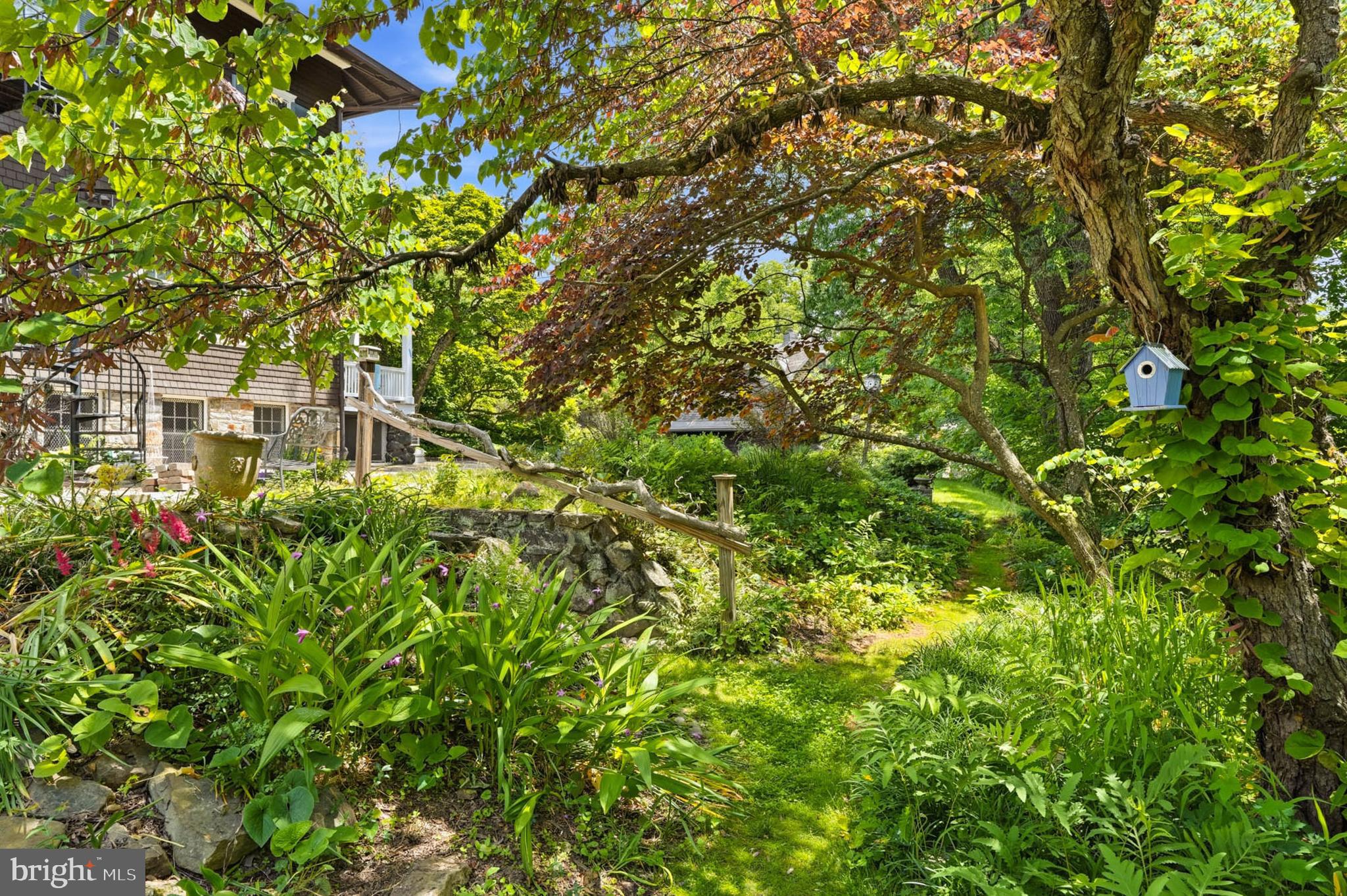 ROLAND PARK - Residential