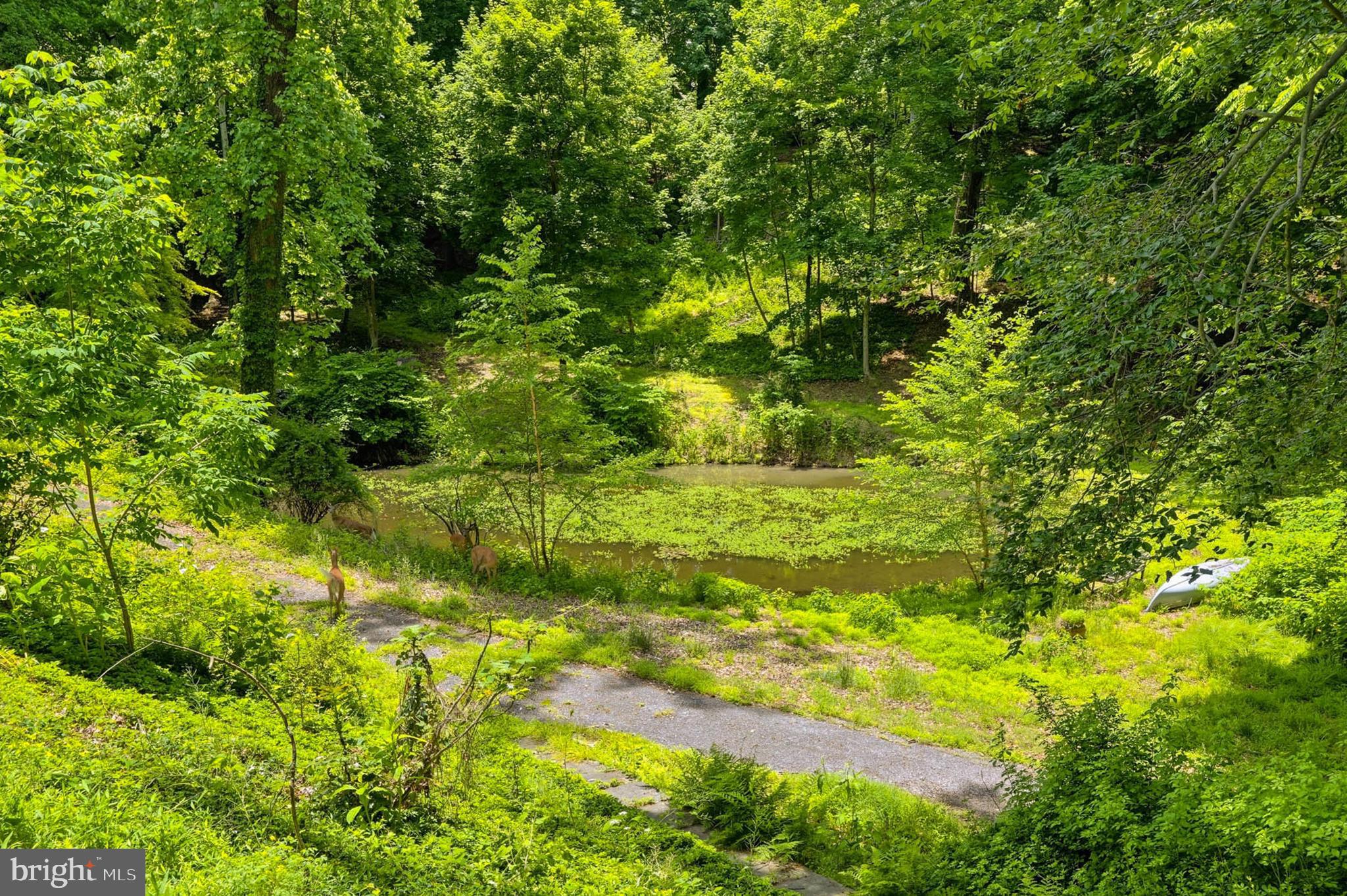 ROLAND PARK - Residential