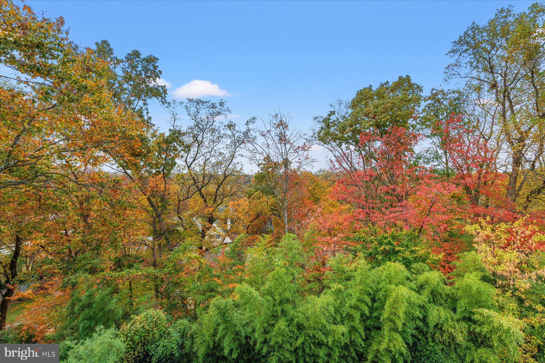 BERKLEY - Residential