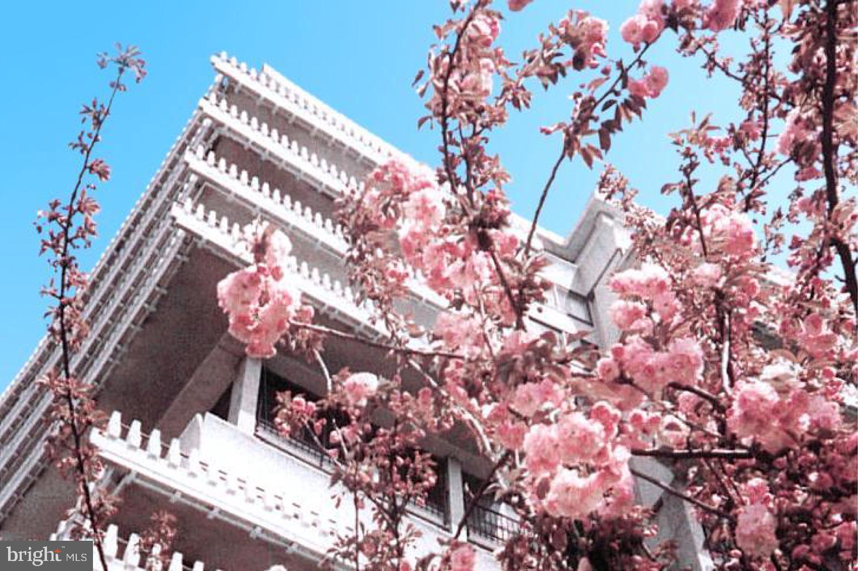 FOGGY BOTTOM - Residential