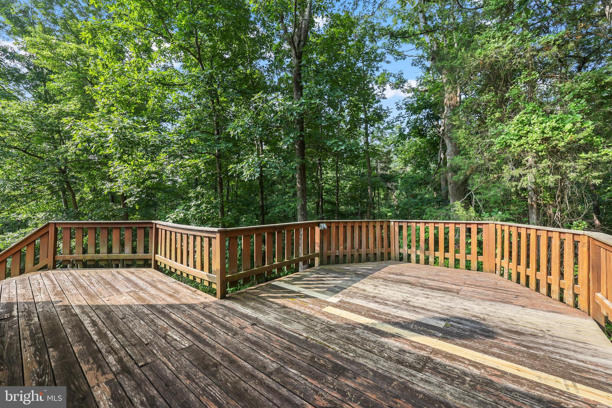 SHEN FOREST - Residential