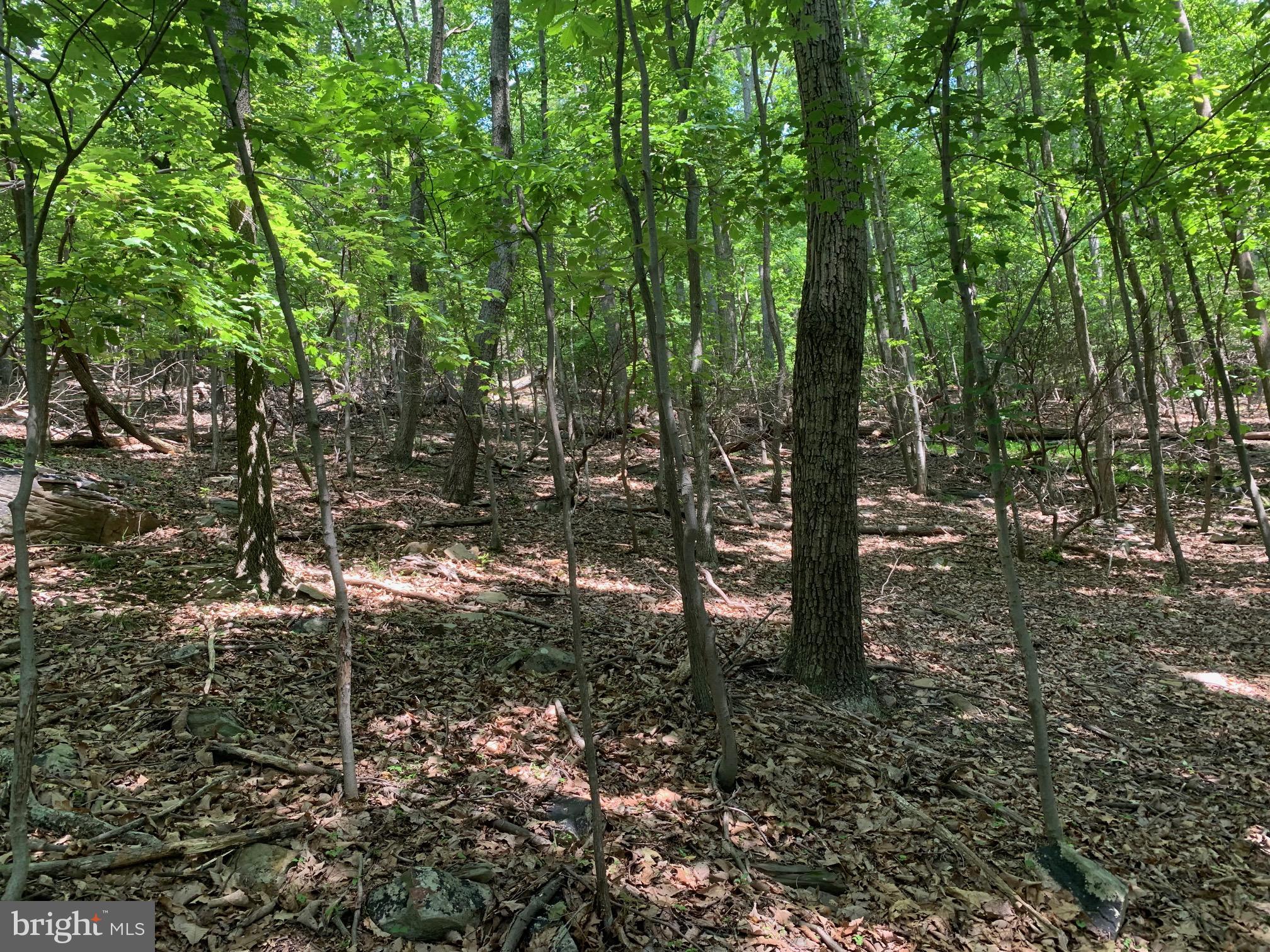 BULL RUN MOUNTAIN ESTATE - Land