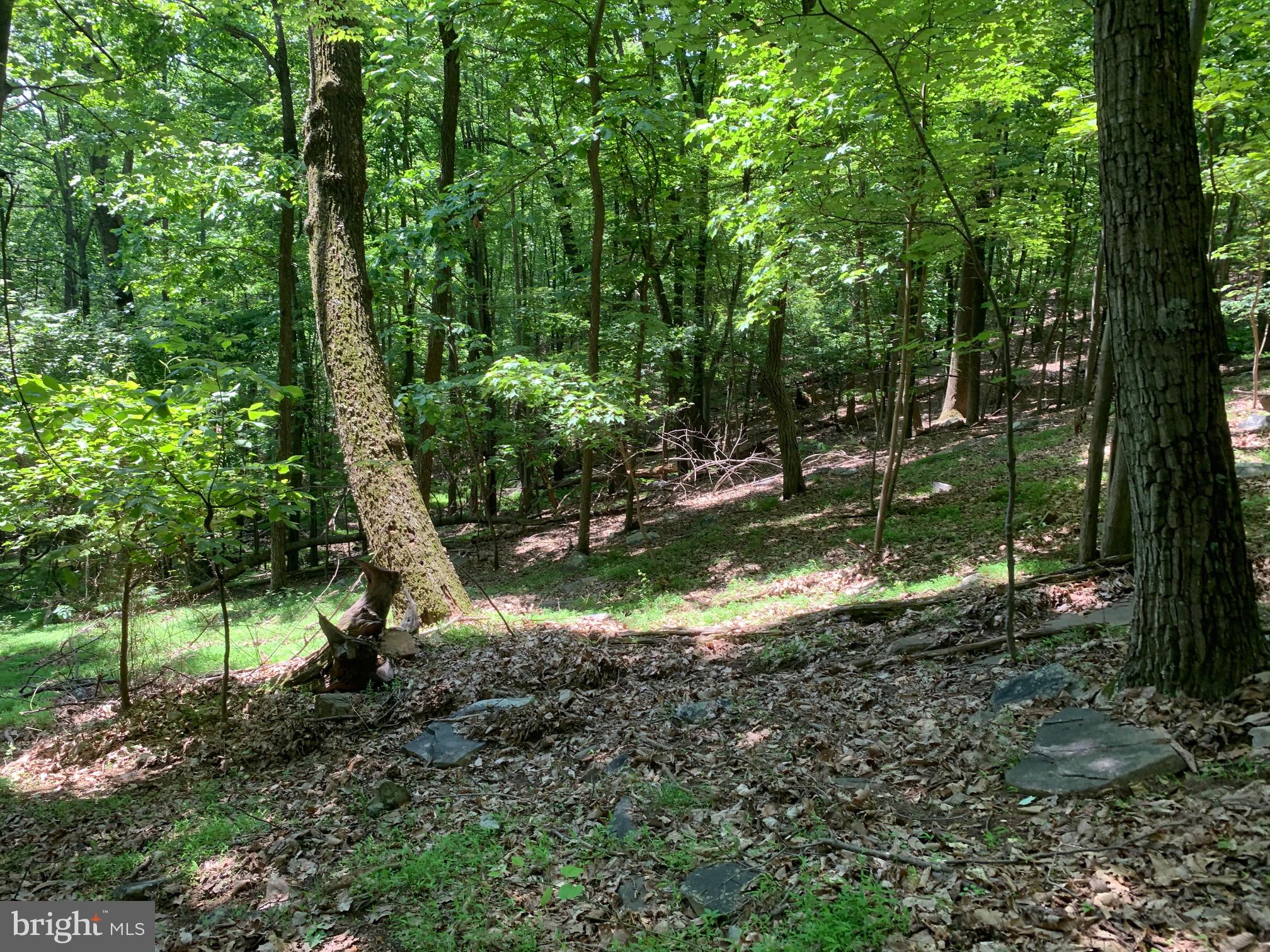 BULL RUN MOUNTAIN ESTATE - Land