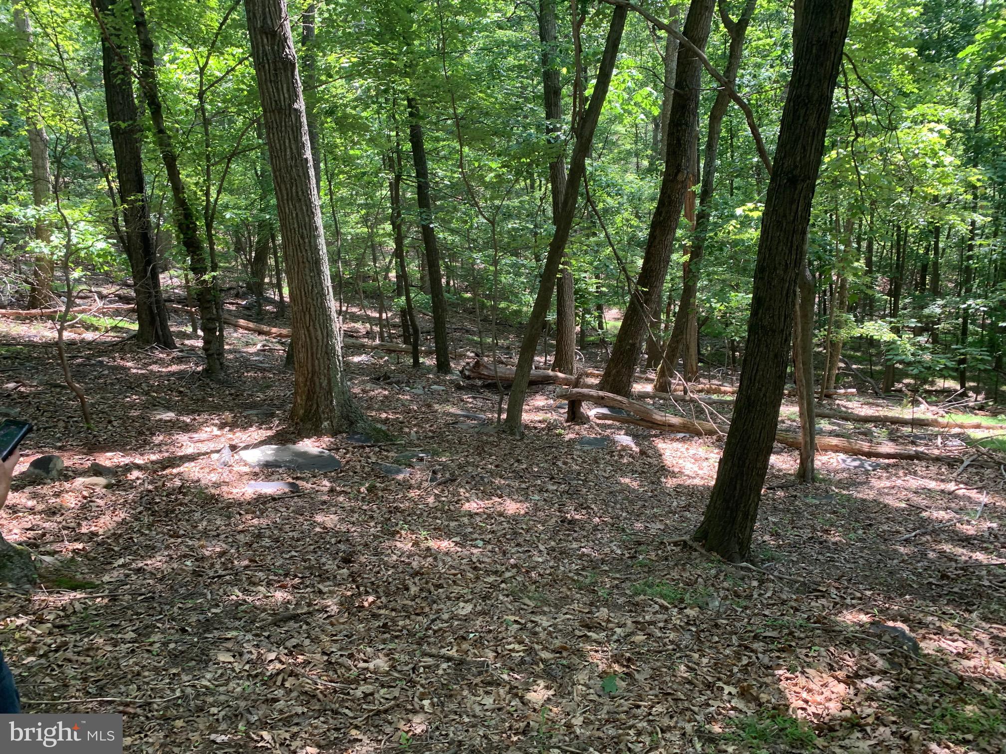 Three Amazing Lots (totaling 2.78 ac)  on Bull Run Mountain sold together! Wooded, private with great views! All 3 lots have been recently perked for alternate septic systems. Combine the lots to build your dream home, or build 3 homes! Or a weekend get away!  Bull Run Mountain is a haven for wildlife and quiet, peaceful living! This is also a great commuter location using Rt 50 or I-66. Weekend fun with tons of wineries and breweries near by! Plus shopping and great restaurants in Haymarket and Gainesville. Such a central location to explore either Leesburg, Middleburg, Warrenton or Manassas. Please don't block the neighbors driveway, but instead pull over by the gravel bucket. Let your dreams become your reality!