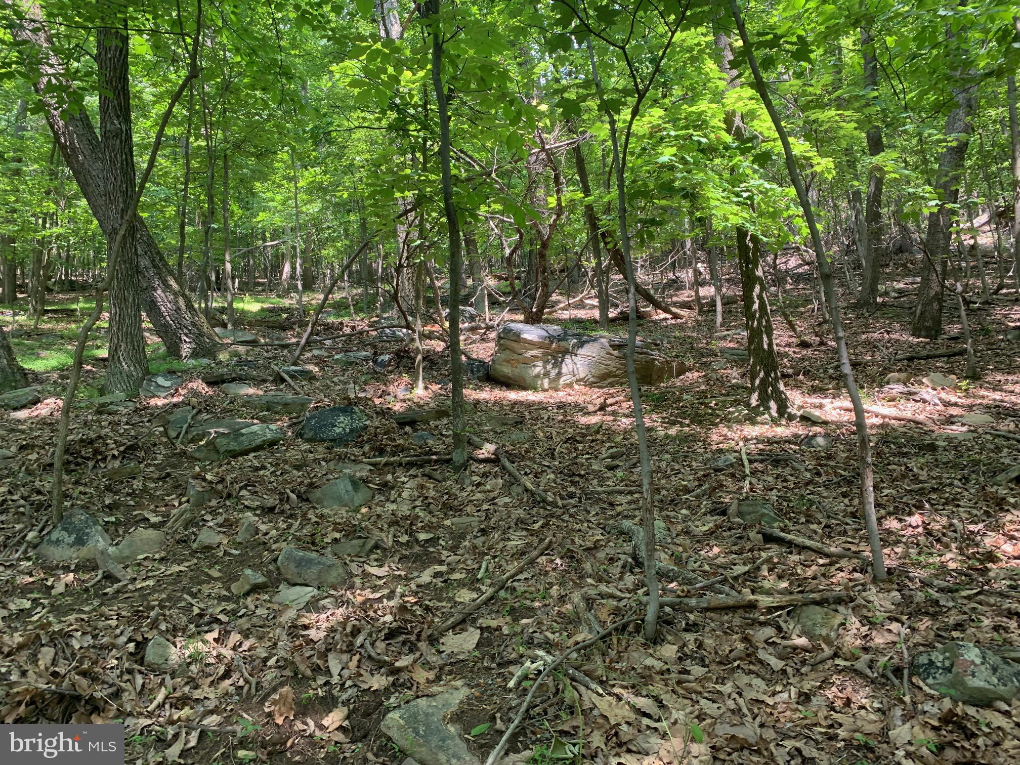 BULL RUN MOUNTAIN ESTATE - Land