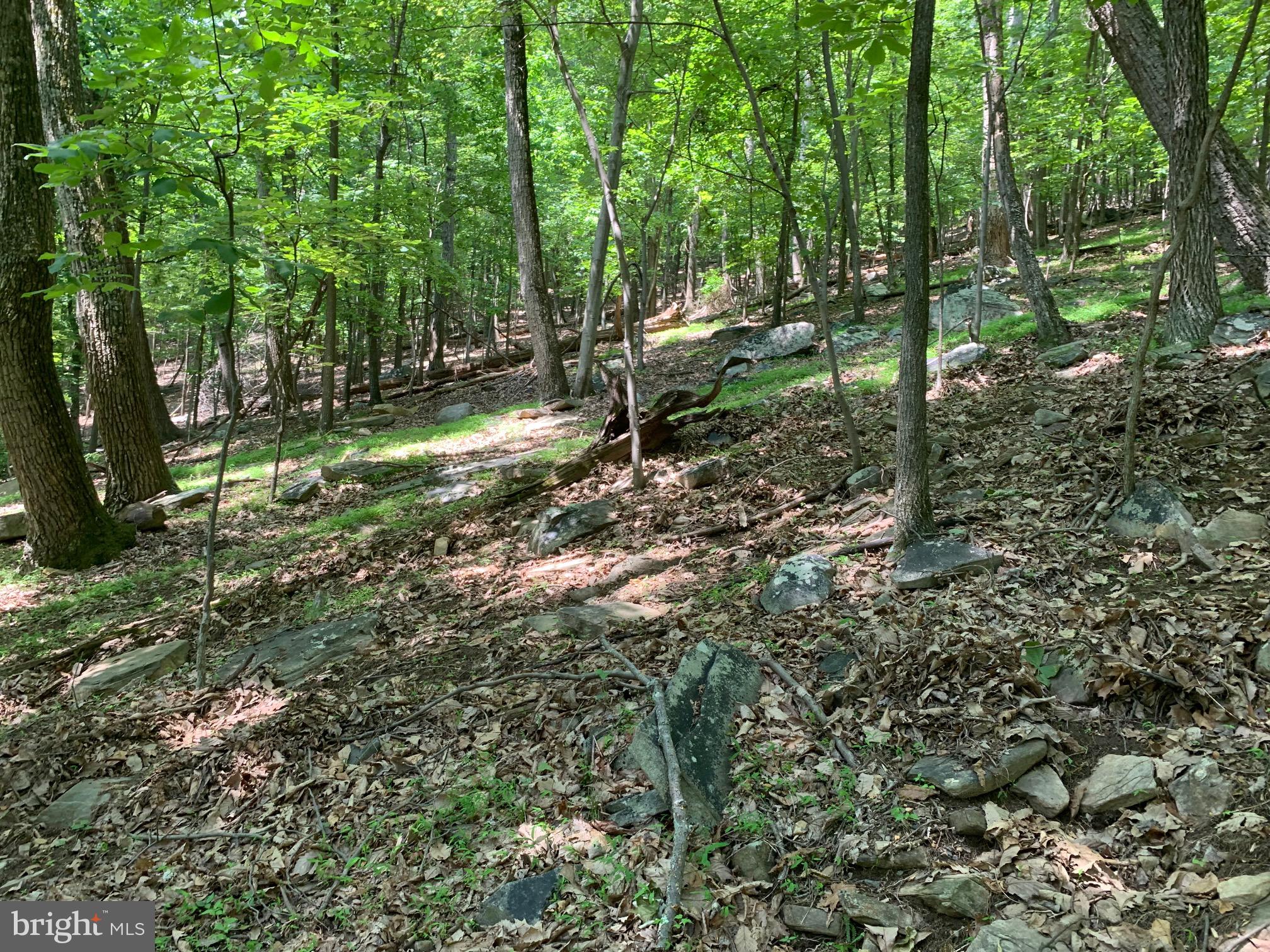 BULL RUN MOUNTAIN ESTATE - Land