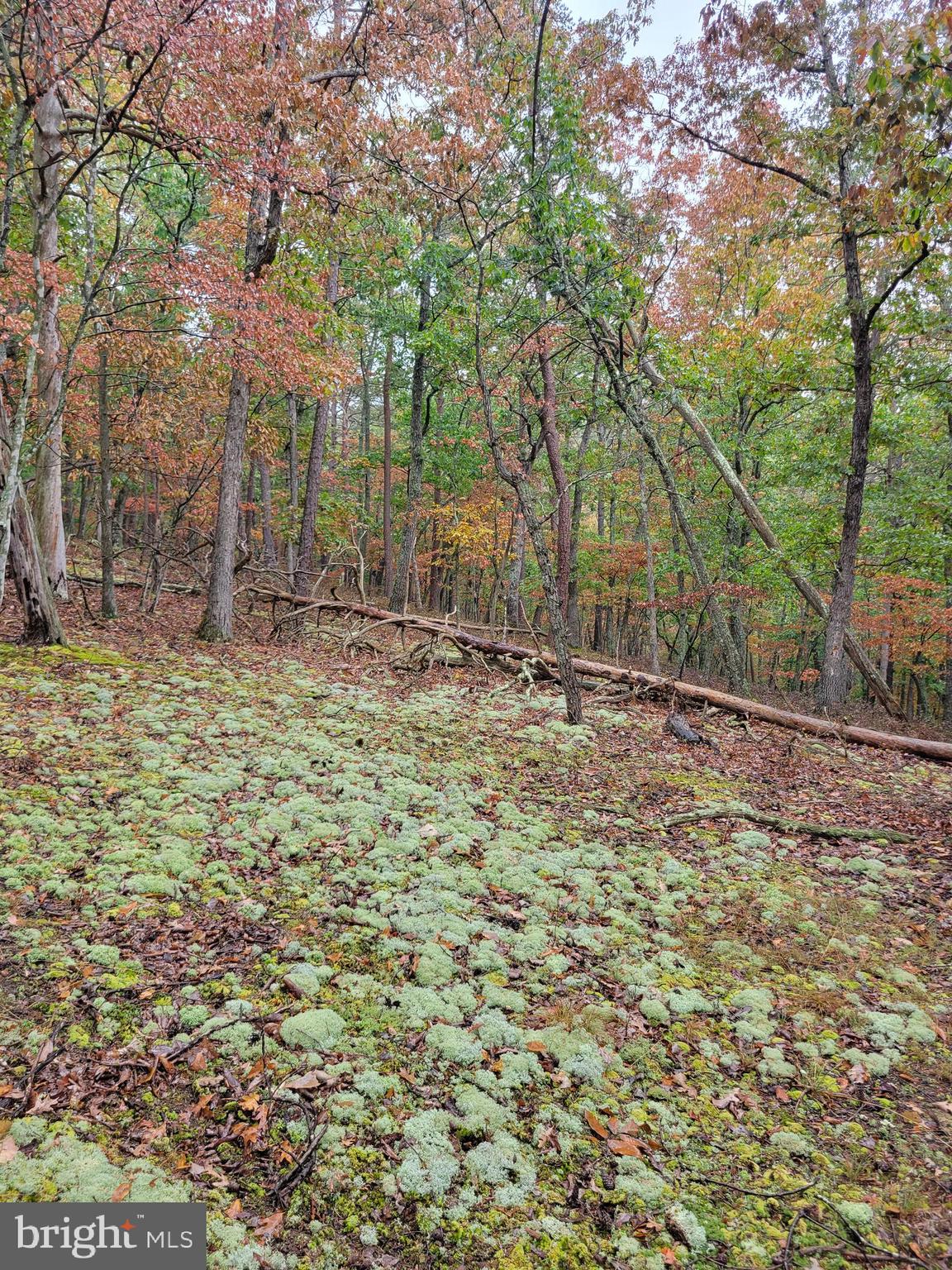ASHTON WOODS PROPERTY OWNERS ASSOCIATION - Land