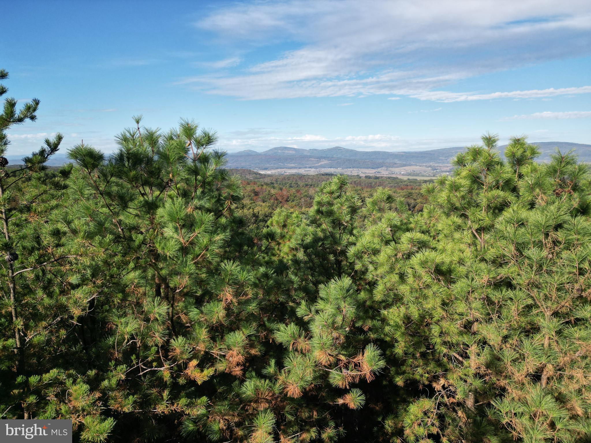 ASHTON WOODS PROPERTY OWNERS ASSOCIATION - Land