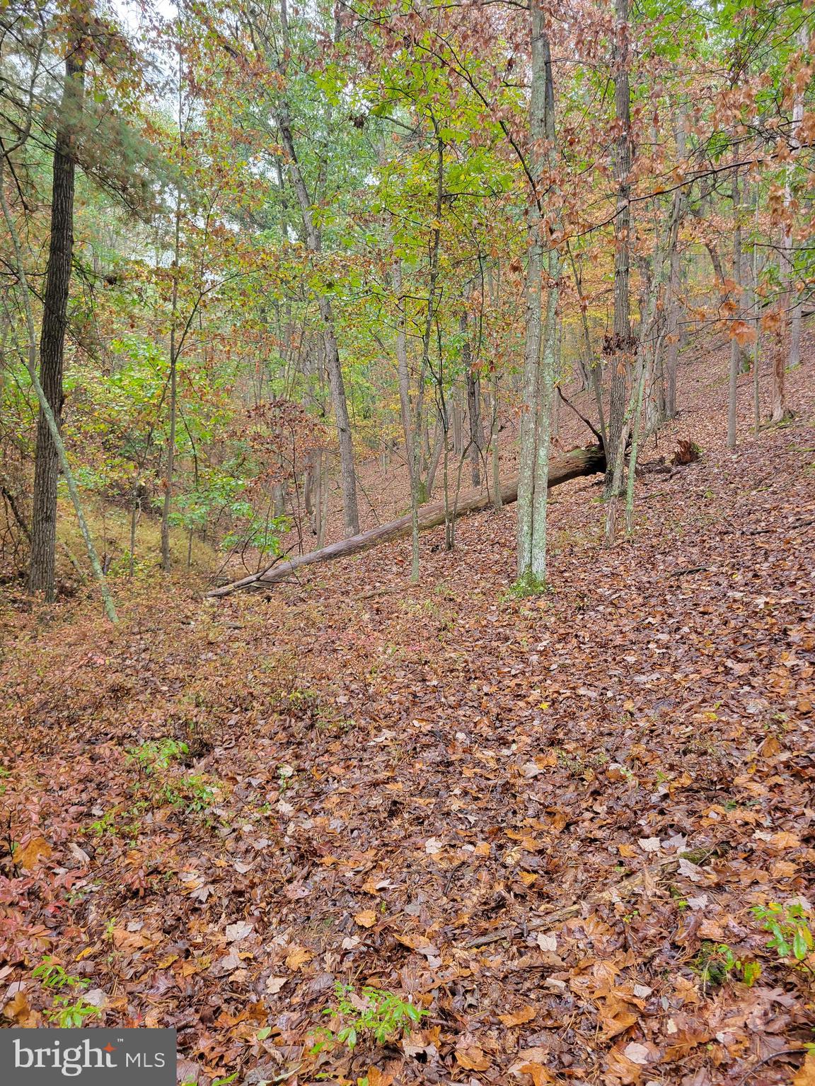 ASHTON WOODS PROPERTY OWNERS ASSOCIATION - Land
