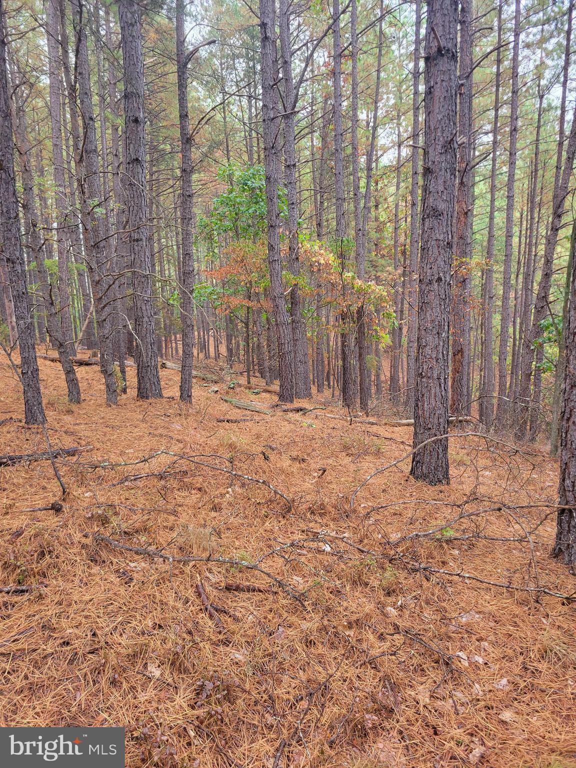ASHTON WOODS PROPERTY OWNERS ASSOCIATION - Land