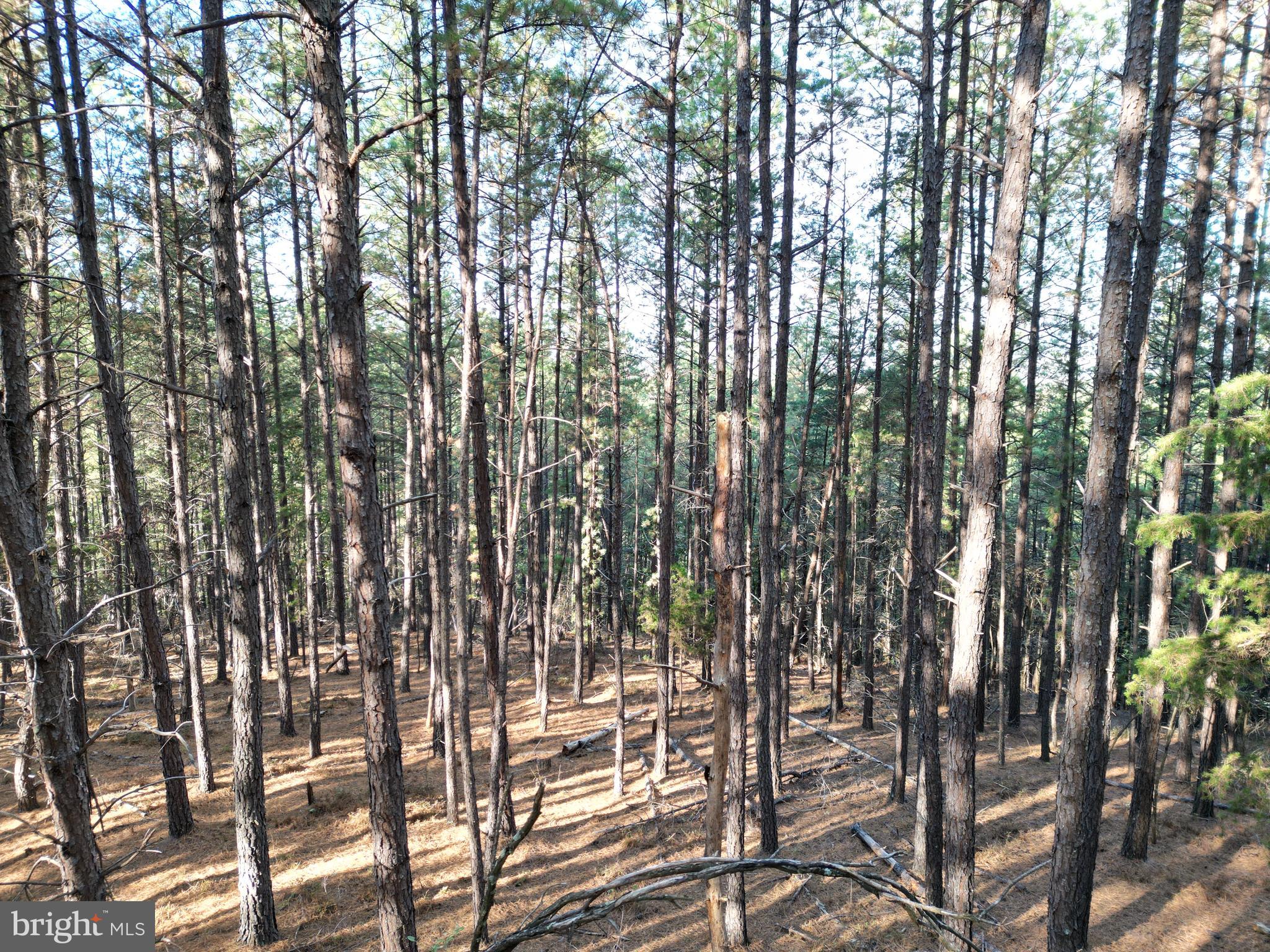 ASHTON WOODS PROPERTY OWNERS ASSOCIATION - Land