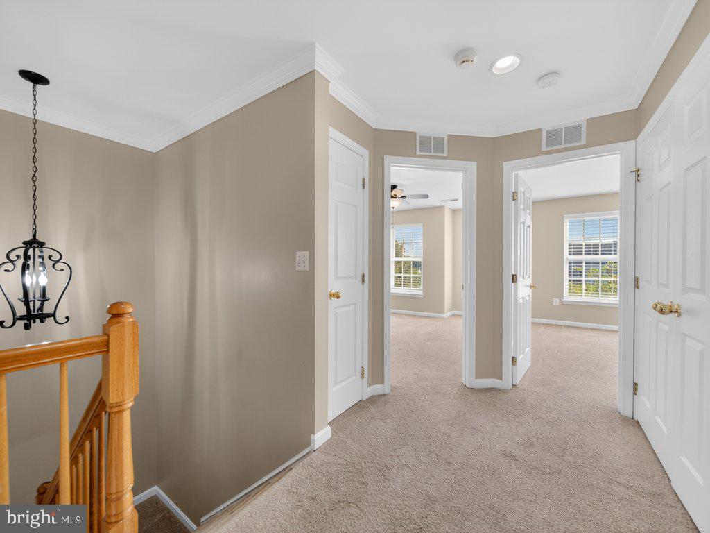 FOREST PARK - Residential