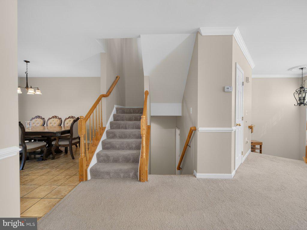 FOREST PARK - Residential