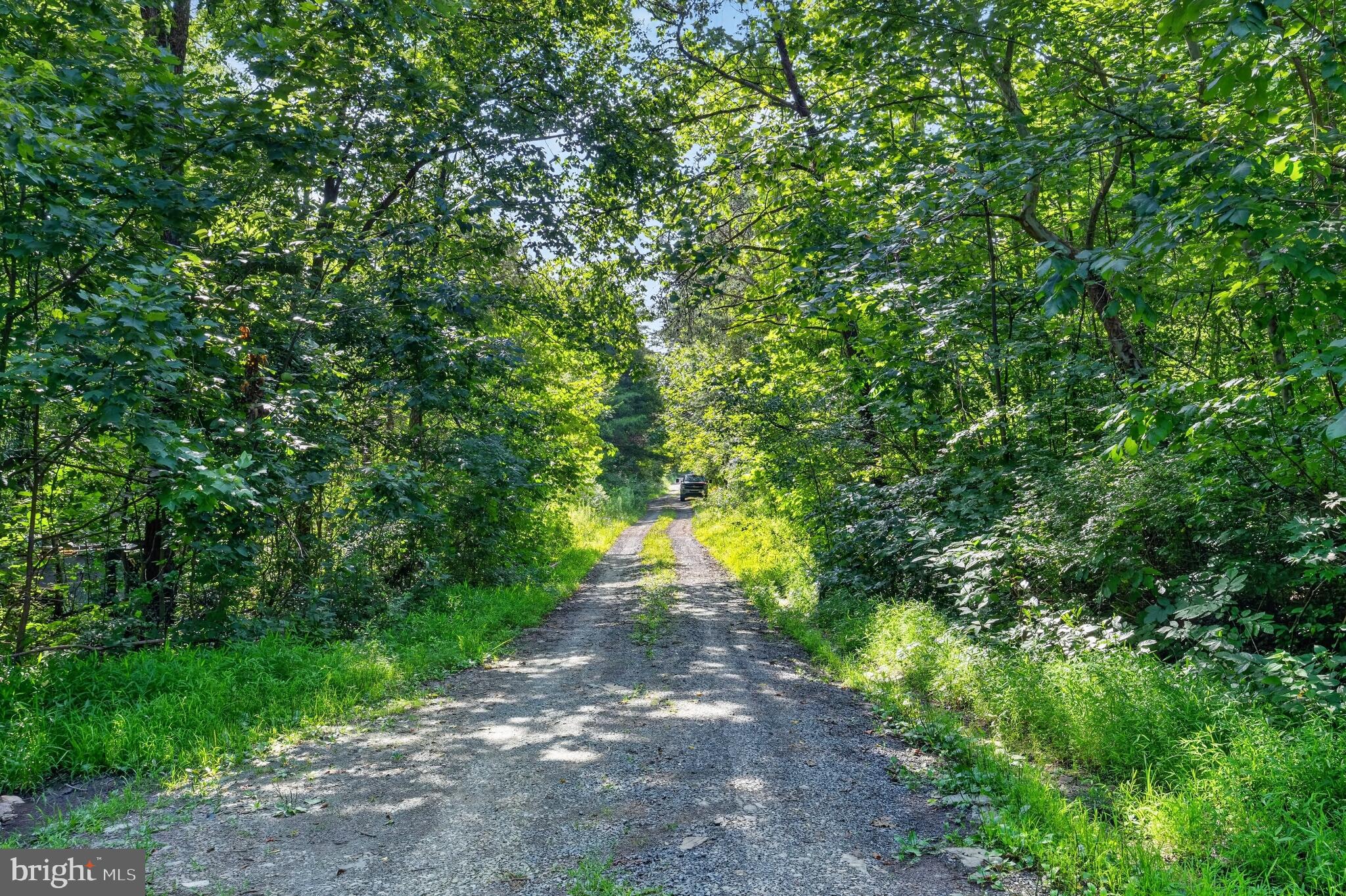 0.55 Acres in Beautiful Luray, VA – Build Your Dream Home Near Shenandoah National Park!
Discover the perfect opportunity to own 0.55 acres in the picturesque town of Luray, Virginia! Whether you're looking to build your forever home, a peaceful weekend getaway, or an investment property, this spacious lot is the ideal setting to enjoy everything the Shenandoah Valley has in store.
Nestled in a quiet area, this property provides the privacy and tranquility of country living while remaining just minutes from downtown Luray, where you'll find local restaurants, shopping, schools, and everyday conveniences. Outdoor enthusiasts will love being close to Shenandoah National Park, Skyline Drive, the Shenandoah River, and the world-famous Luray Caverns.