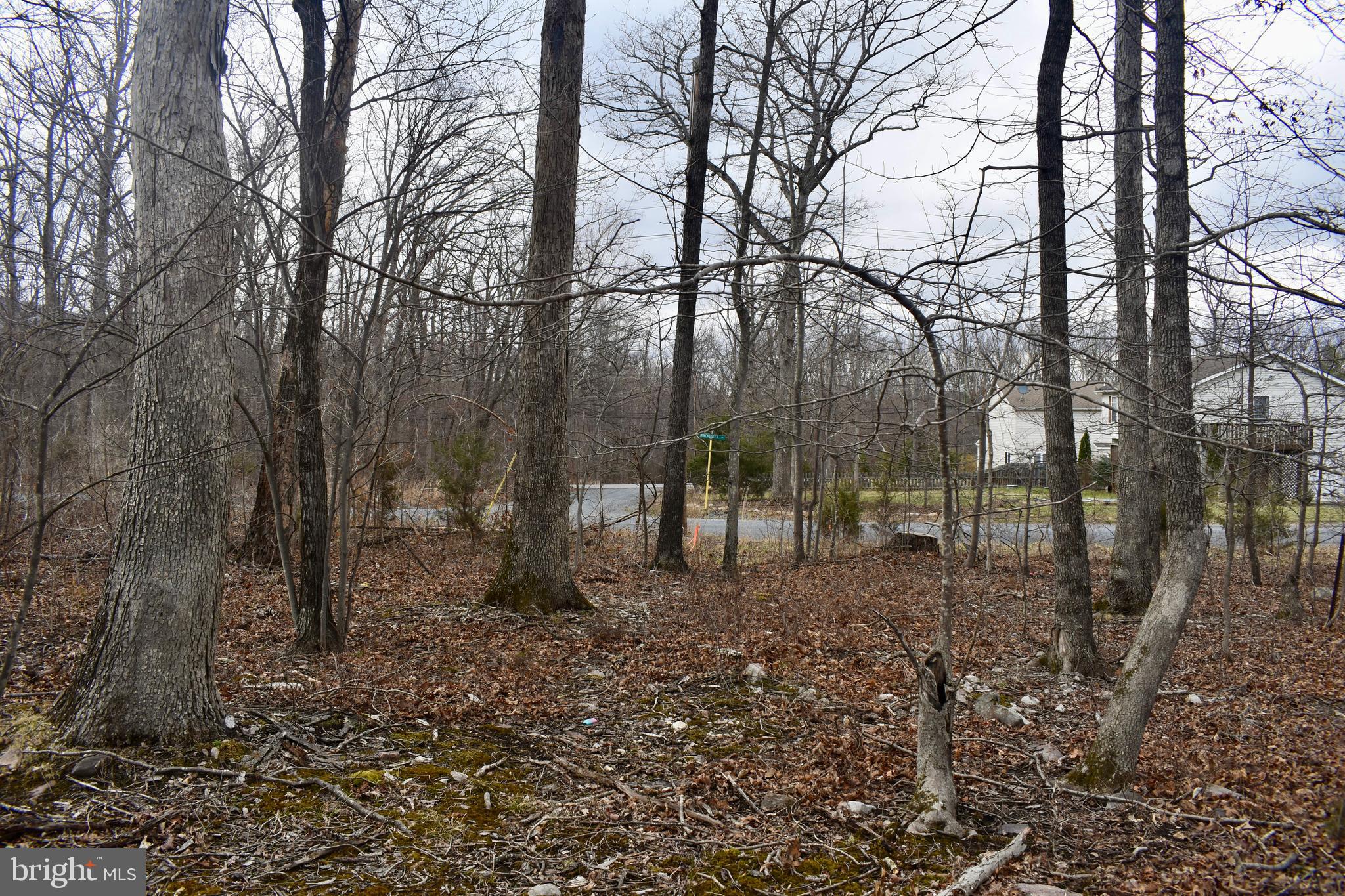 WILDE ACRES - Land