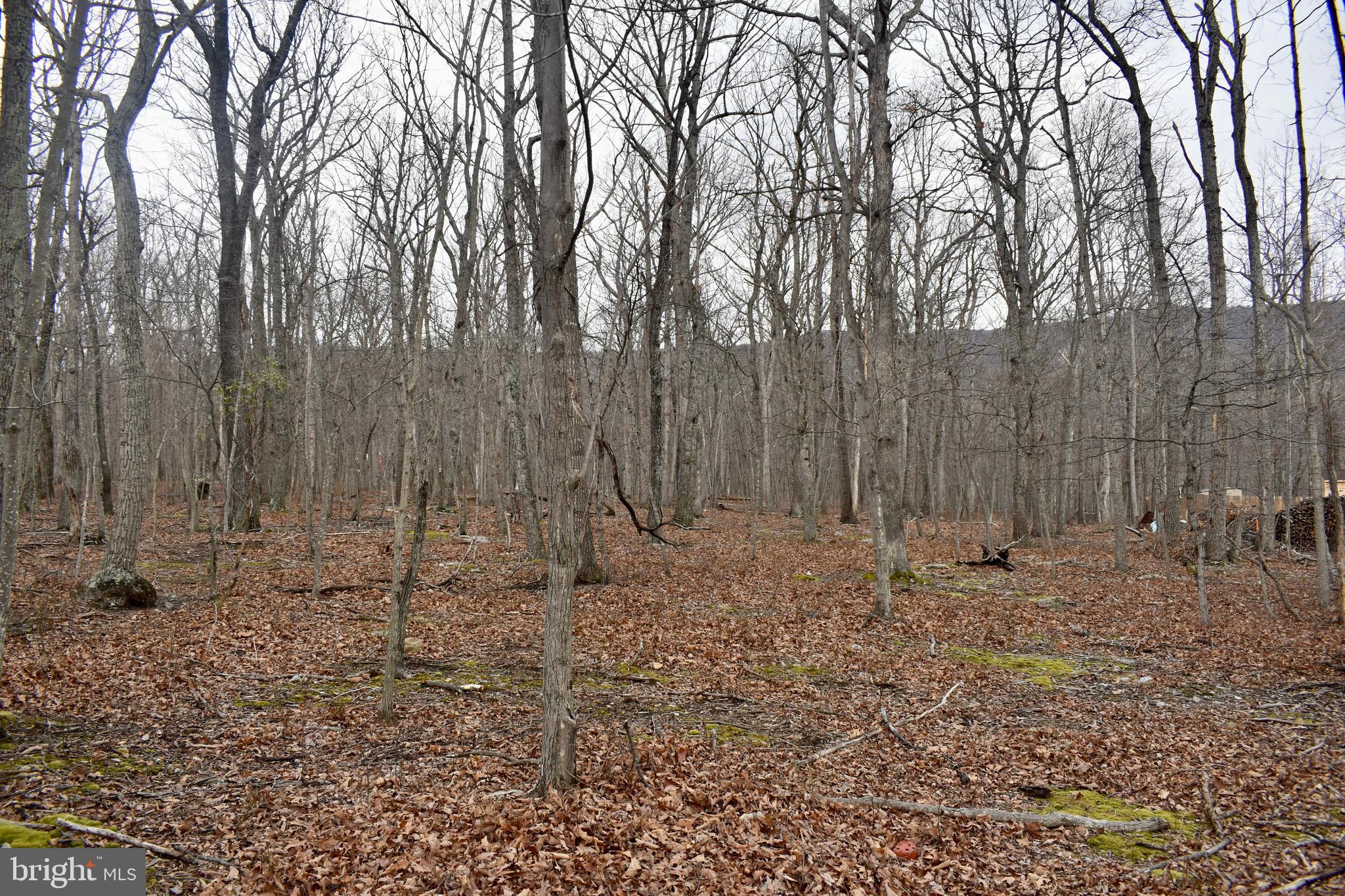 WILDE ACRES - Land