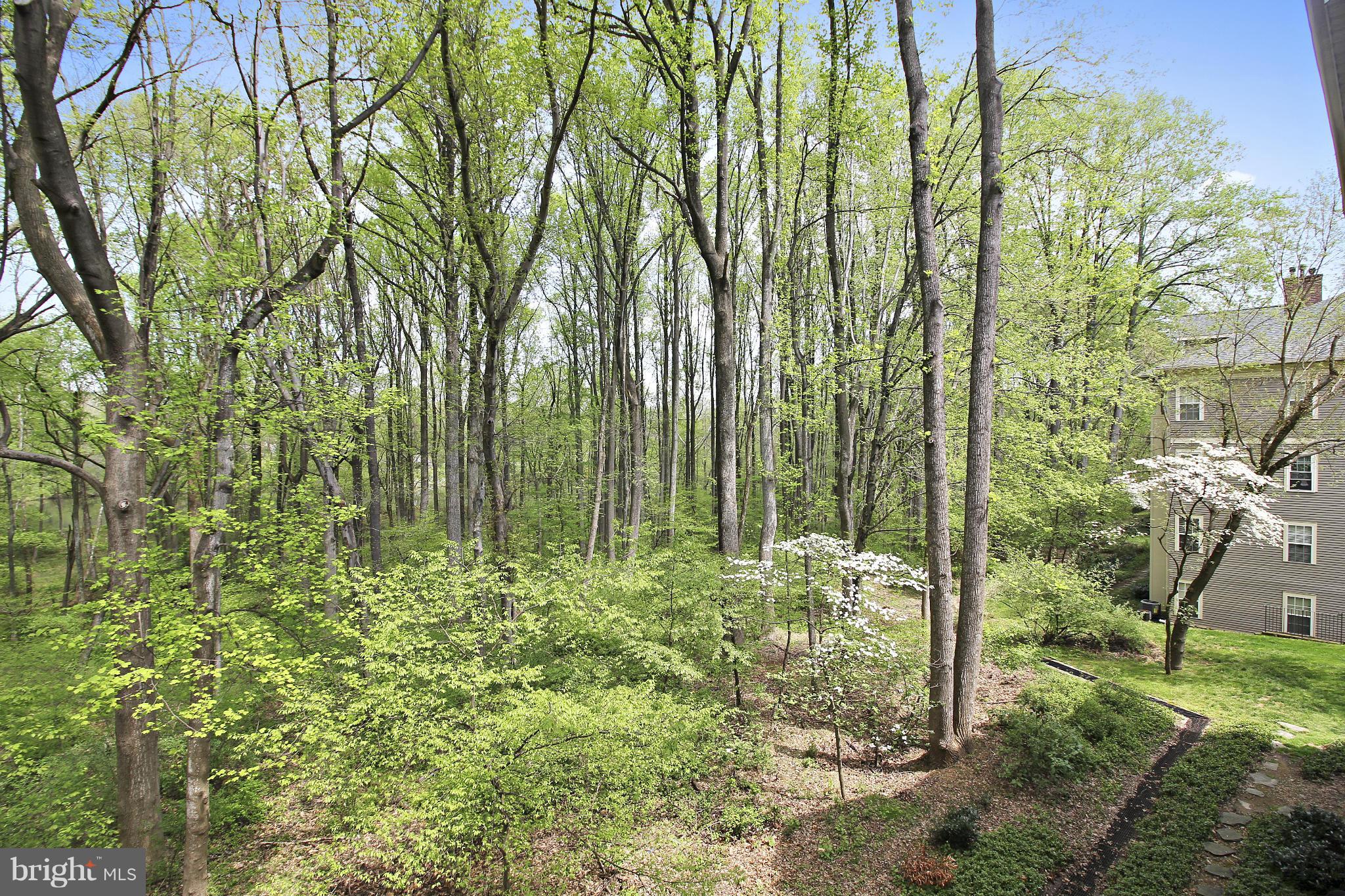 TIMBERBROOK CODM - Residential