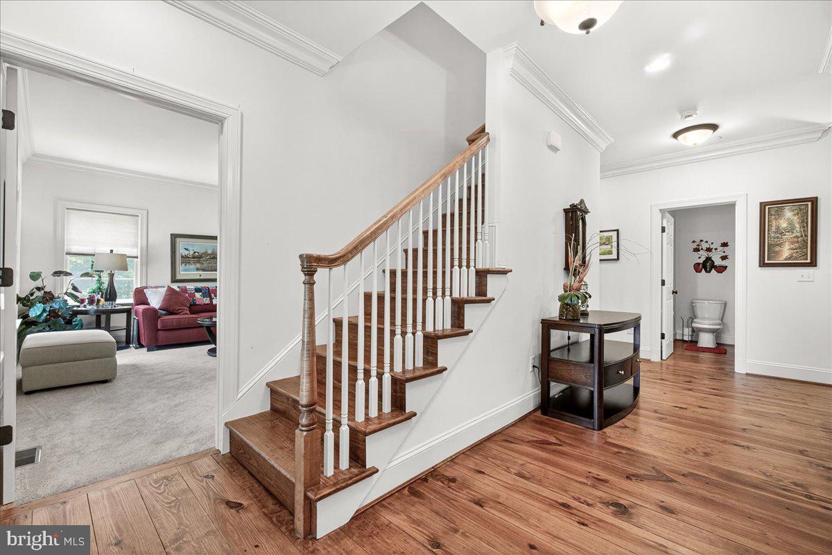 DAISY HILL ESTATES - Residential