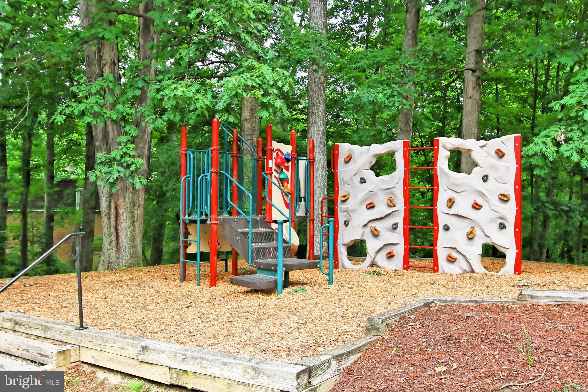 CARDINAL FOREST - Residential