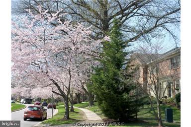 CARDINAL FOREST - Residential