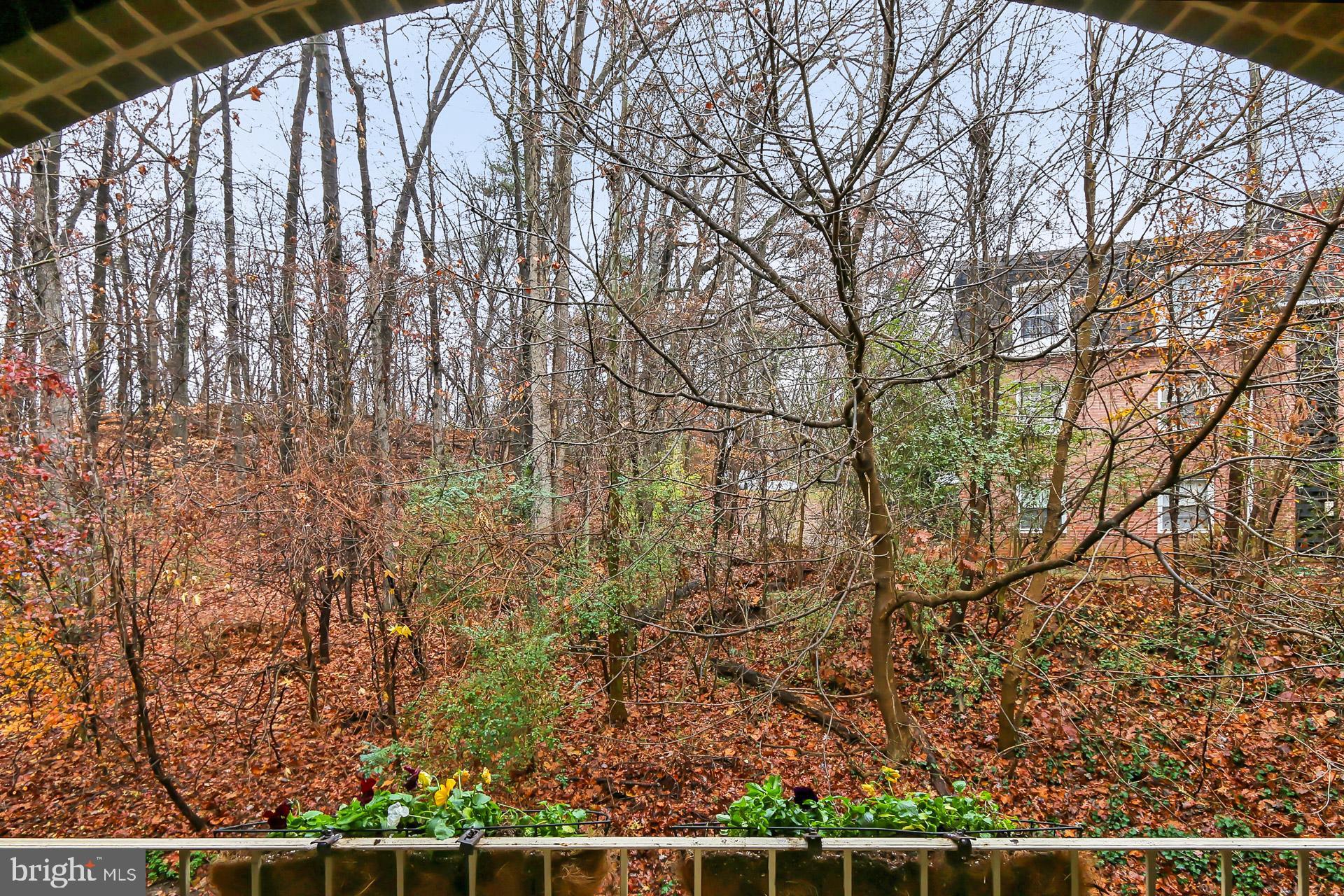 CARDINAL FOREST - Residential