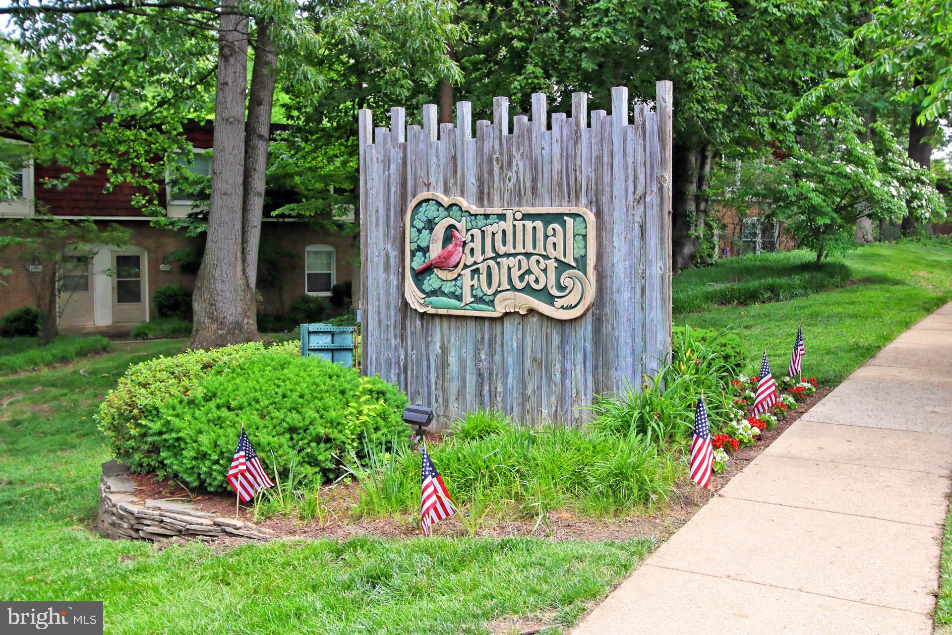 CARDINAL FOREST - Residential