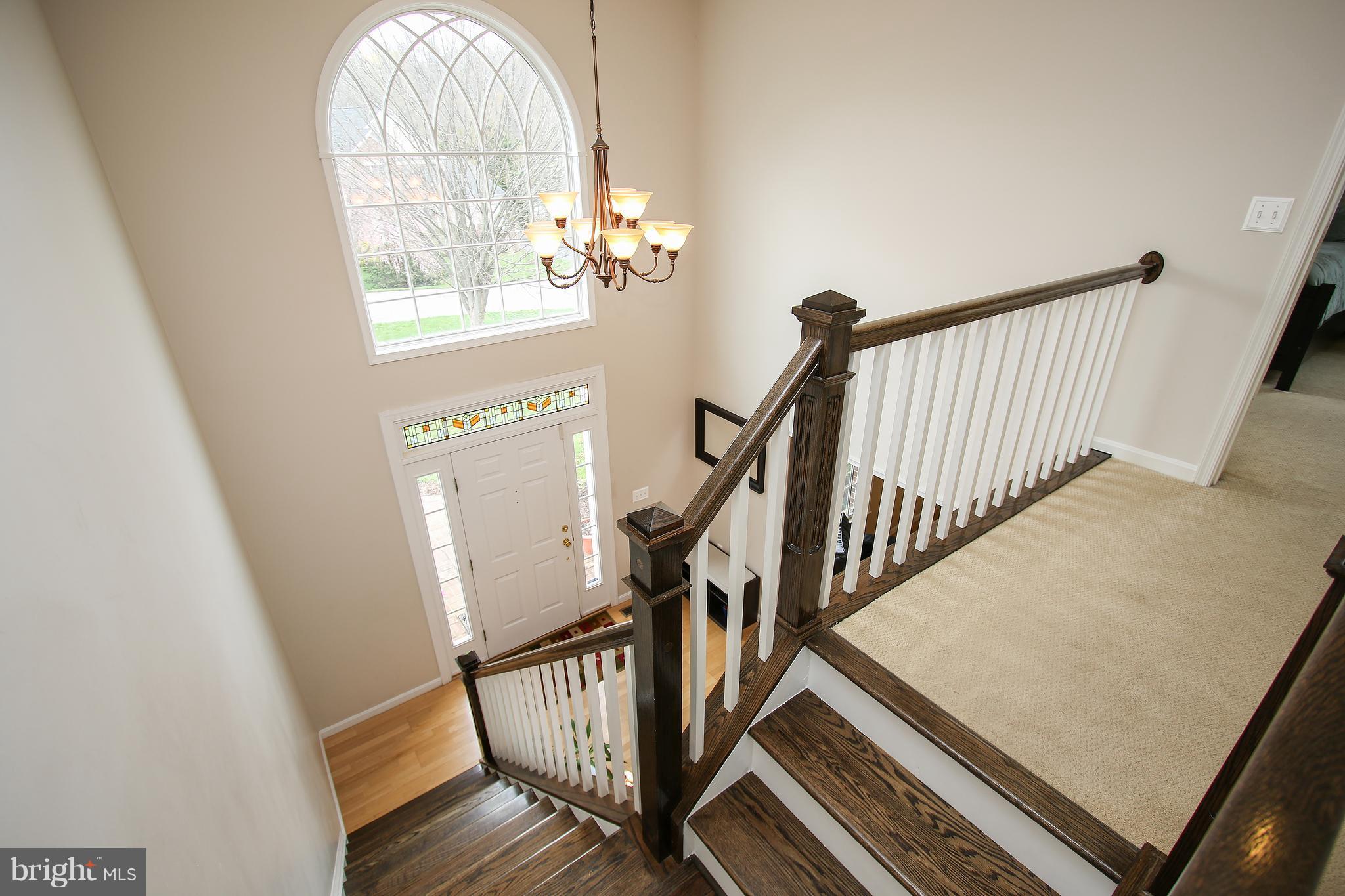 BUCKINGHAM HILLS - Residential